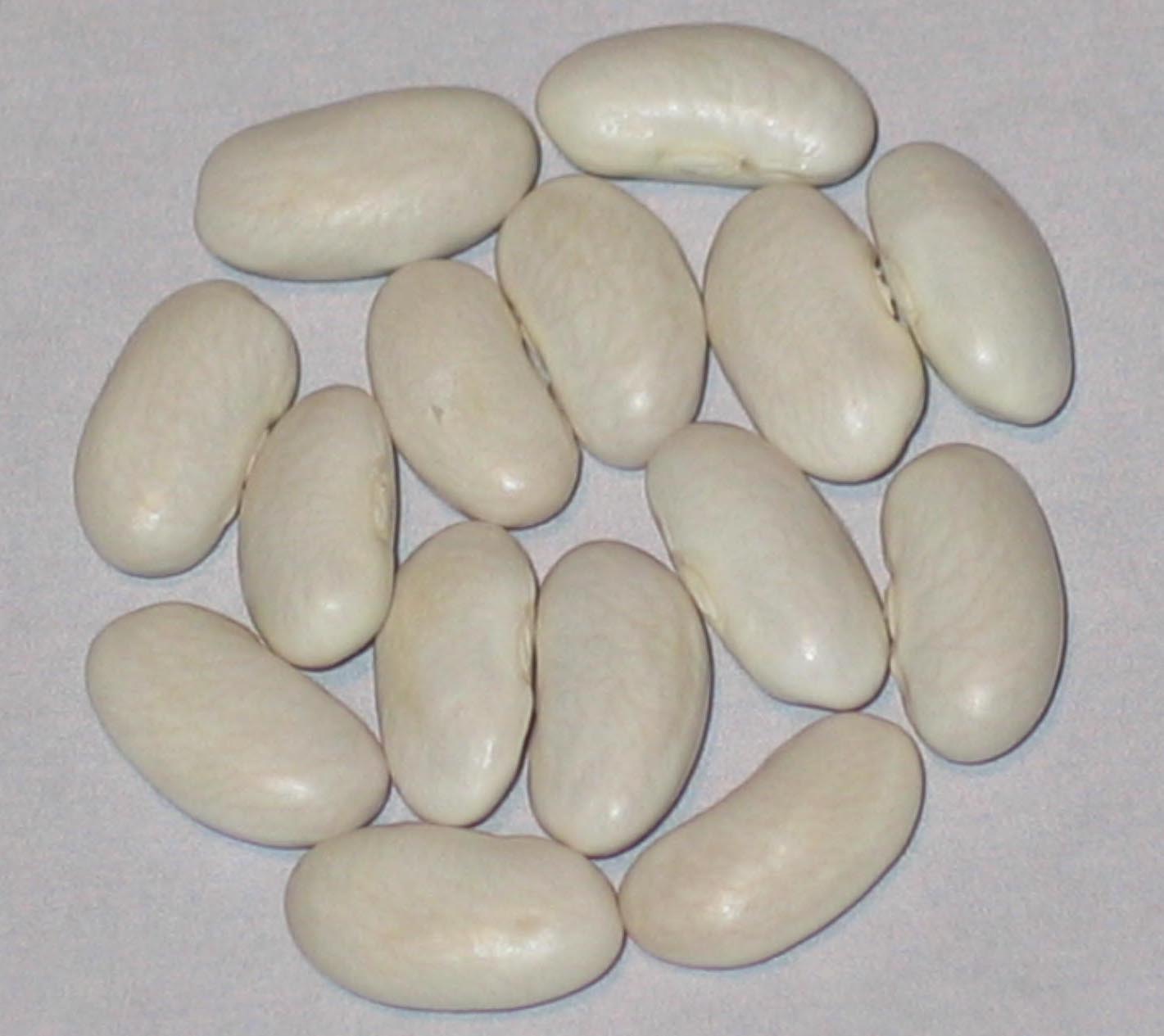 image of  Neckargold beans