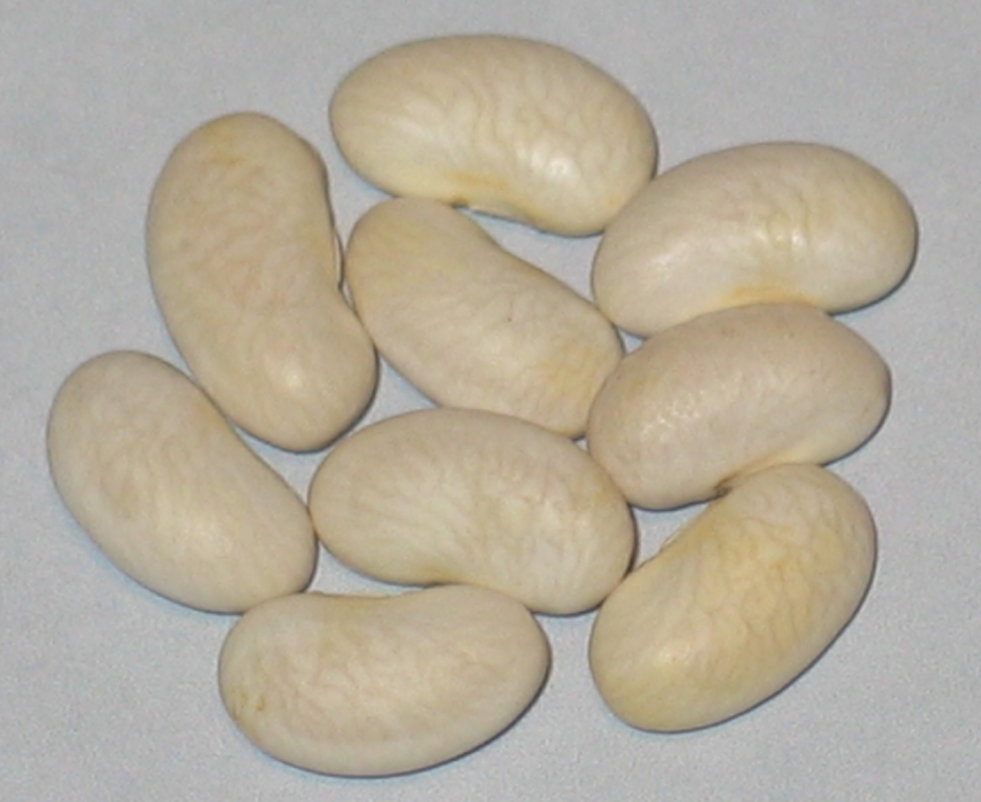 image of Nickell beans