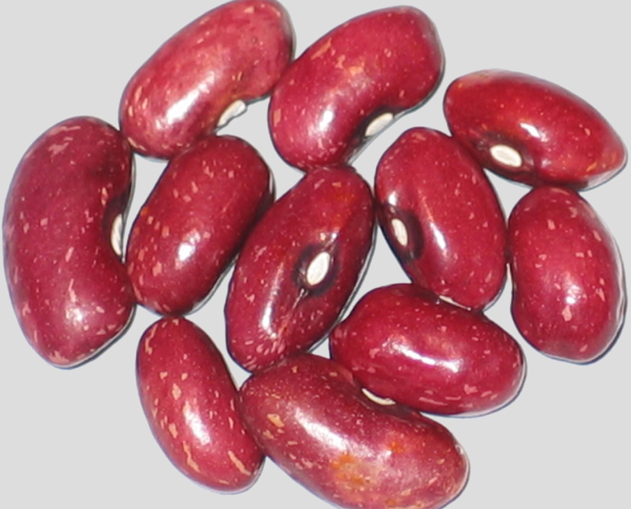 image of No Name WB-PKT #27-3 beans