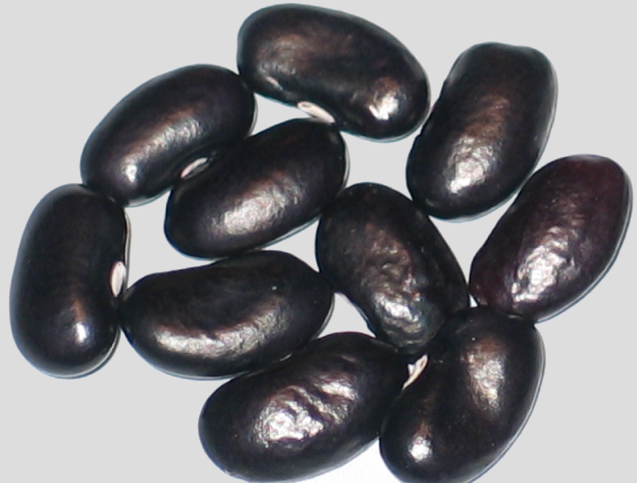 image of No Name WB-PKT #45.1 beans