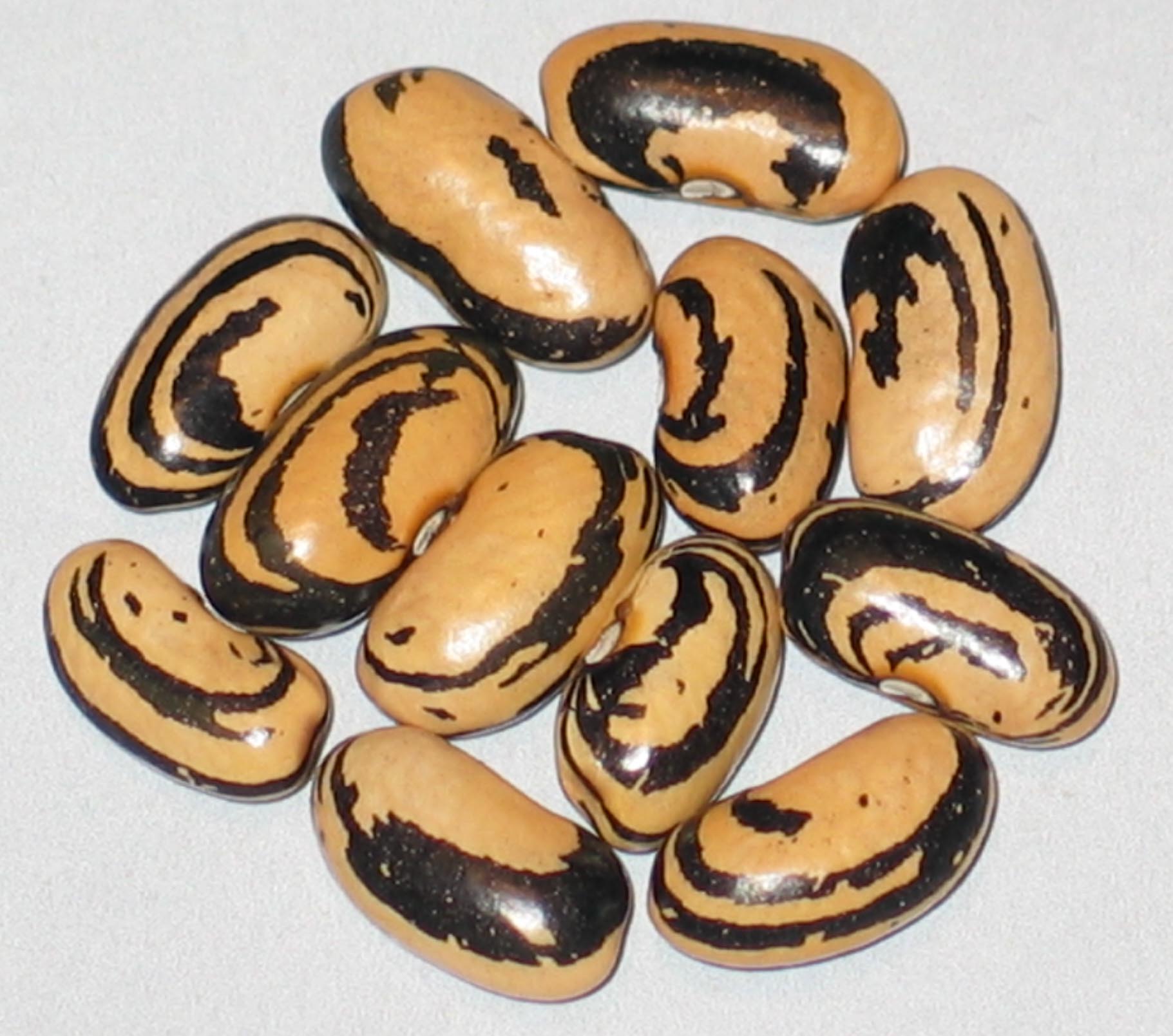 image of Nwambili beans
