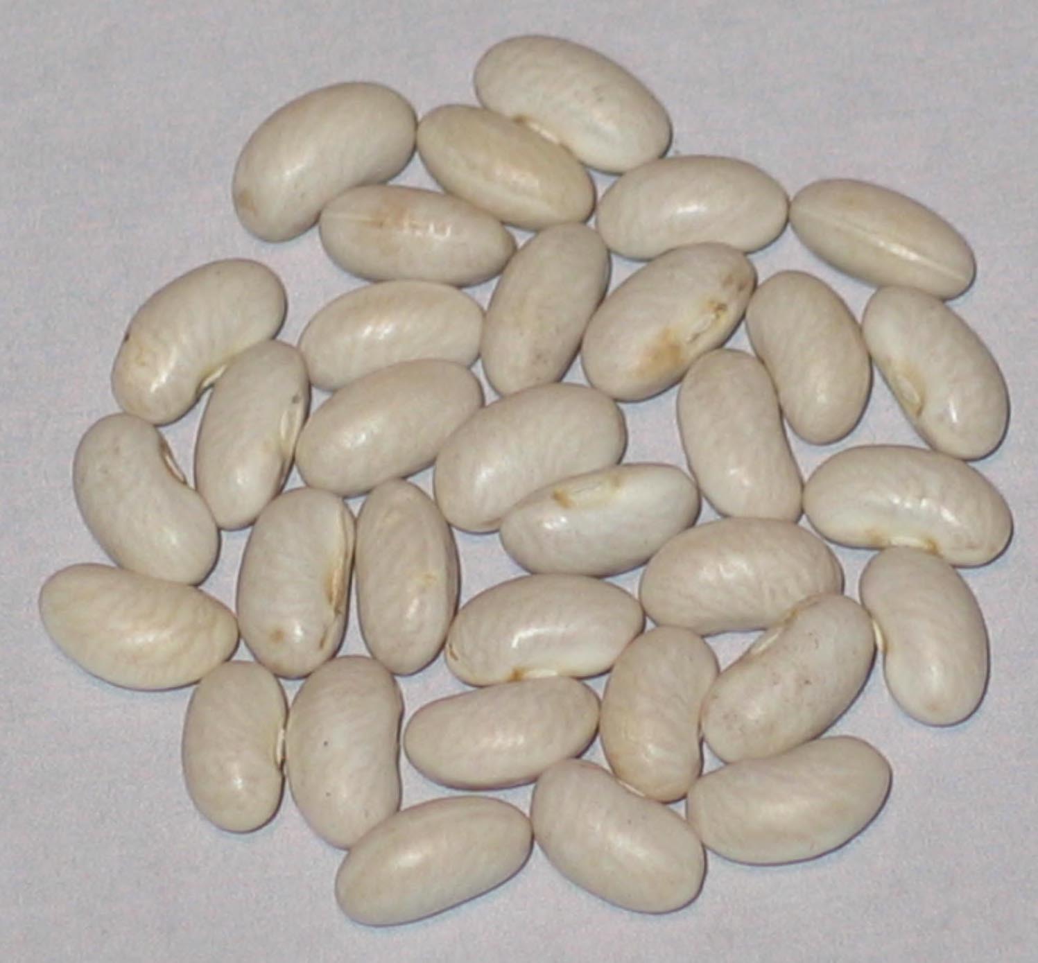 image of Parkers Half Runner beans