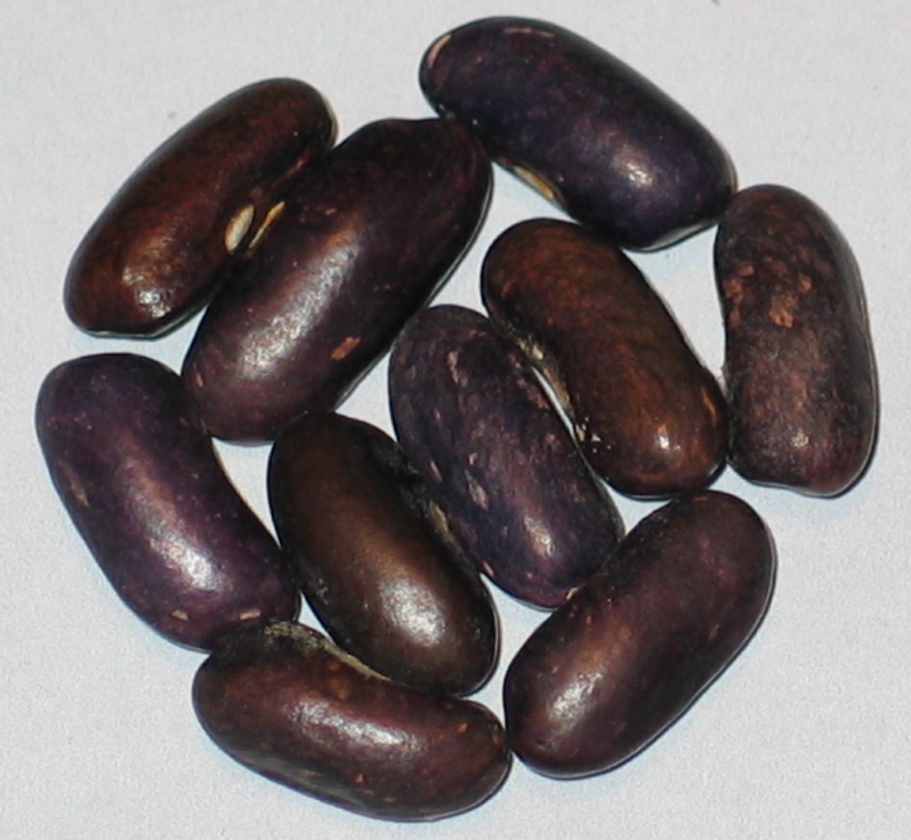 image of Paula beans
