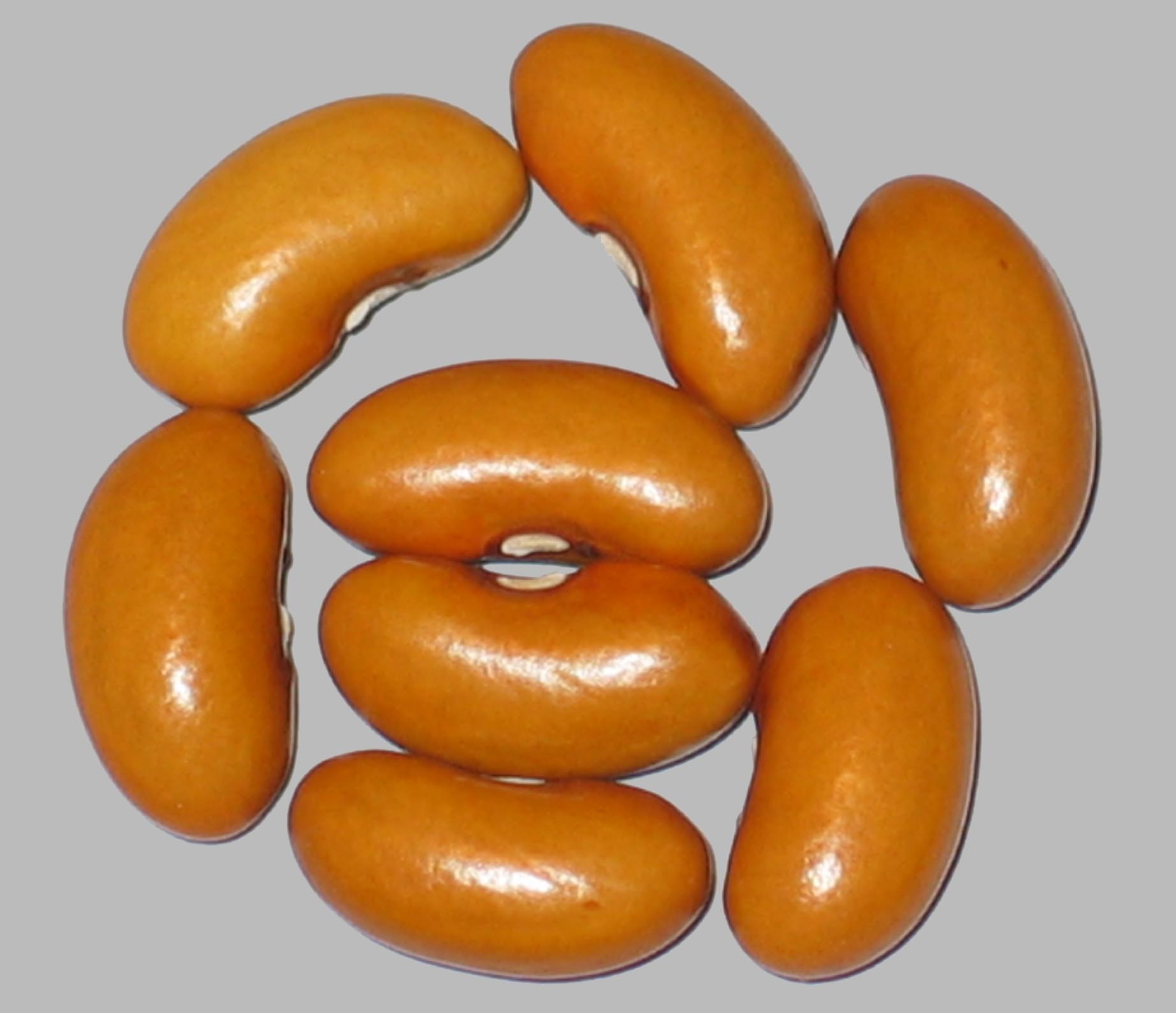 image of Paynesville Amber beans