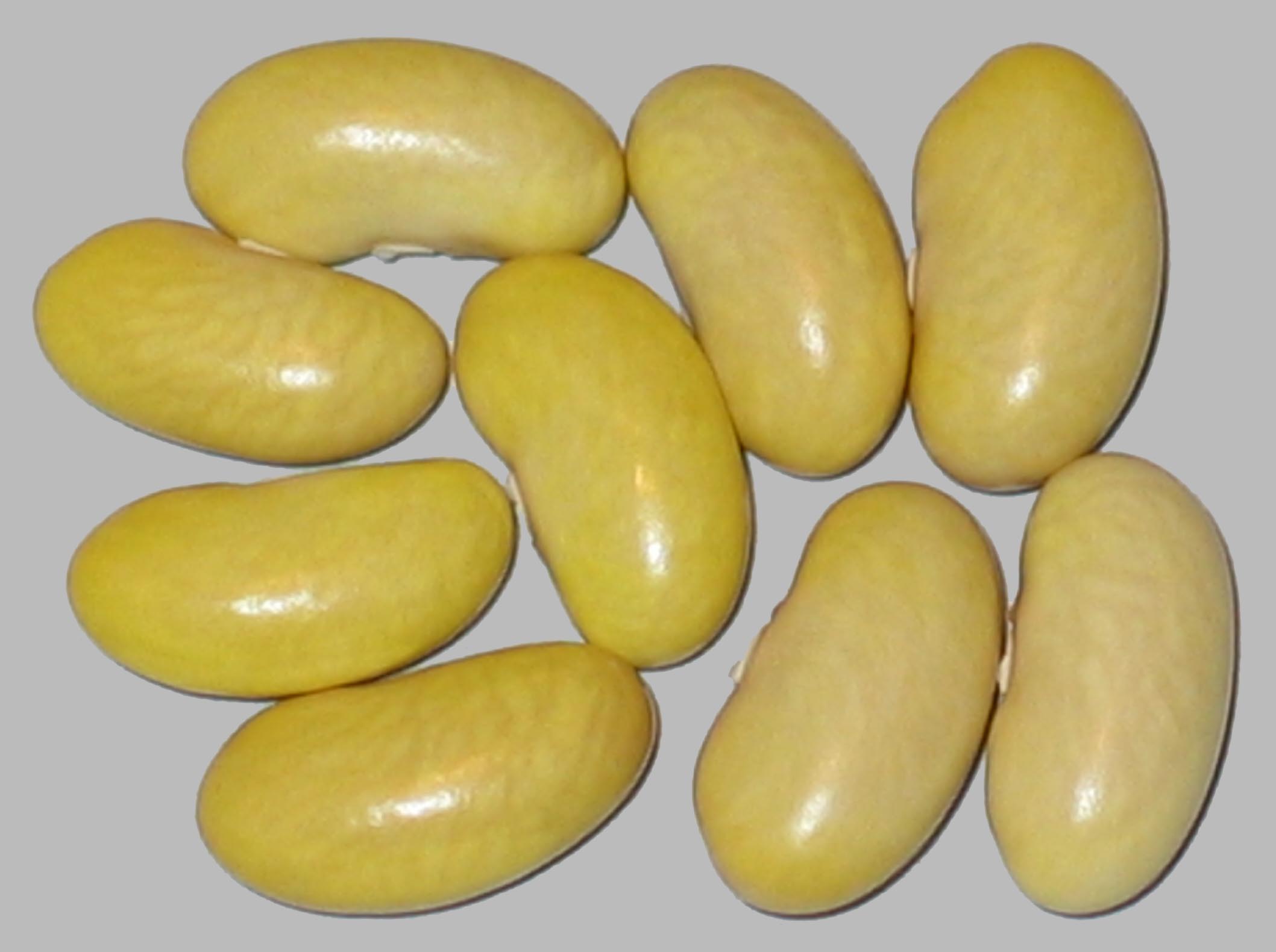 image of Peruano beans