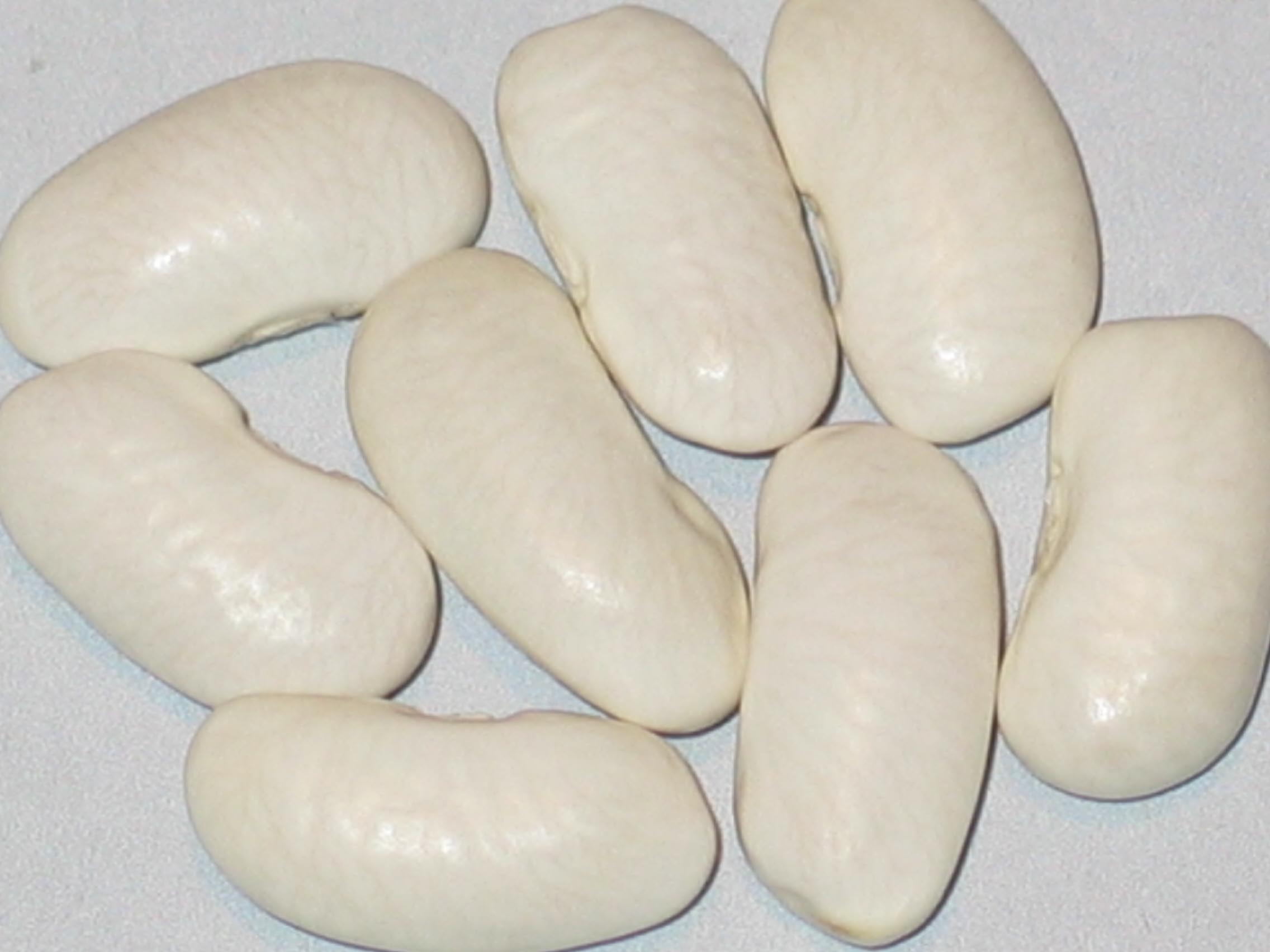 image of Piatella beans