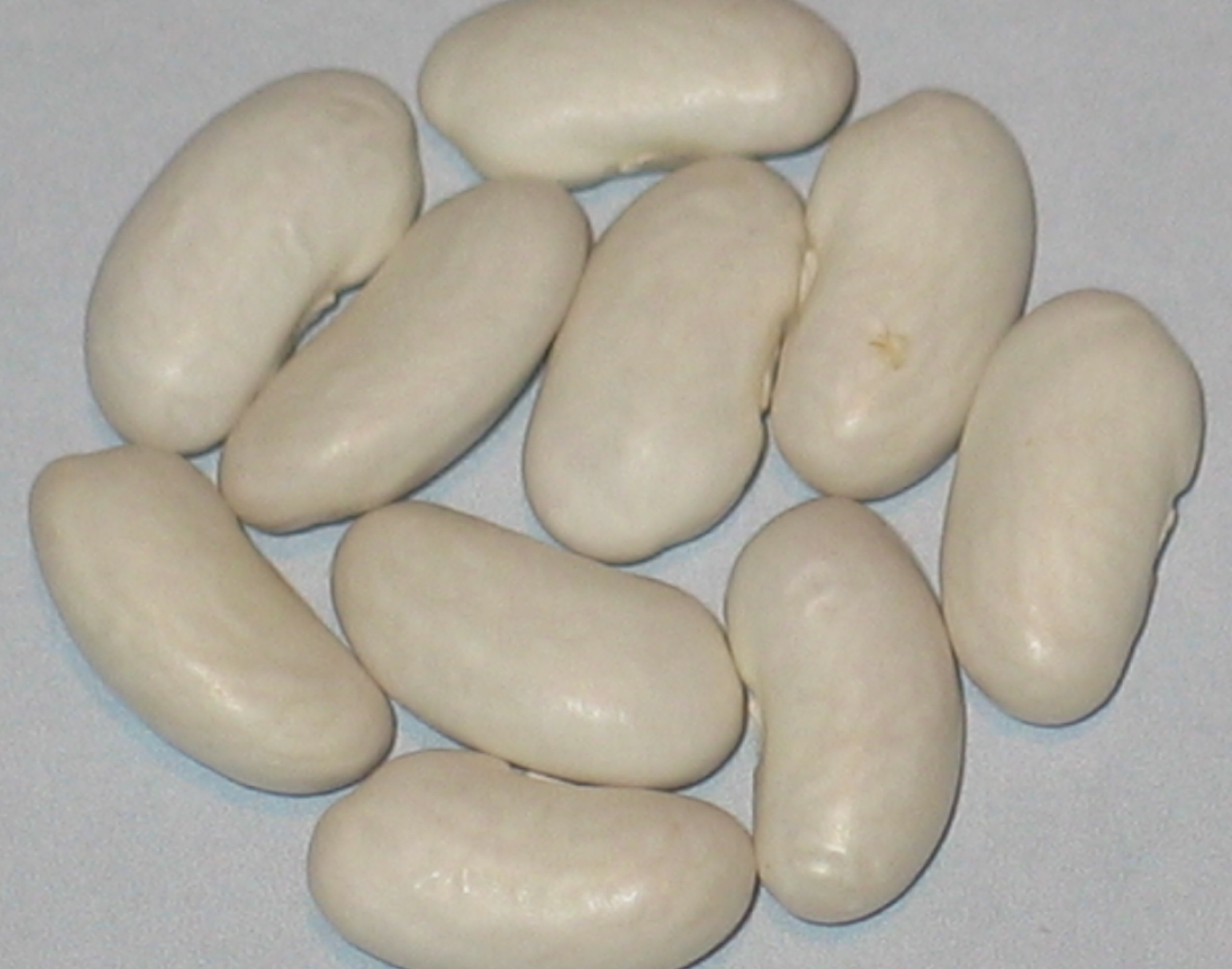 image of Piet Special beans