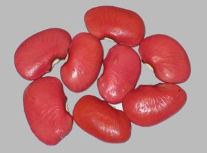 image of Pink Standard Lima beans