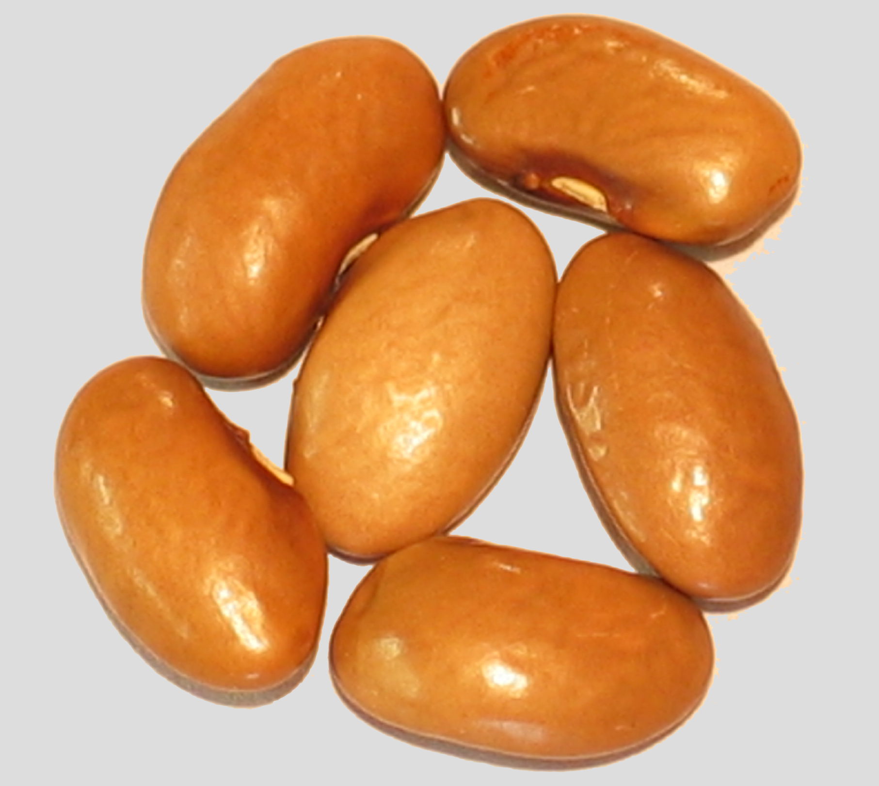 image of Pinktip beans