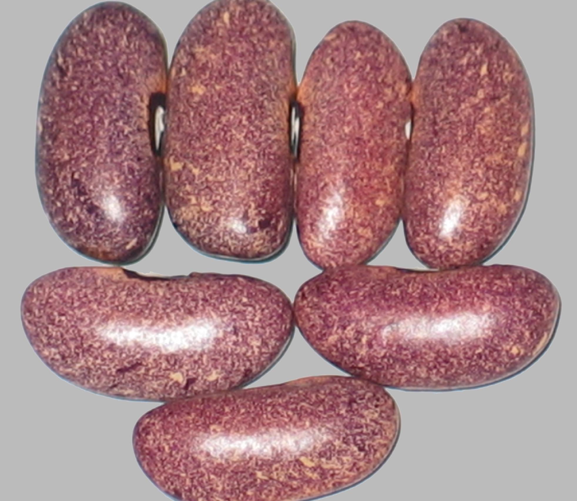 image of Provence beans