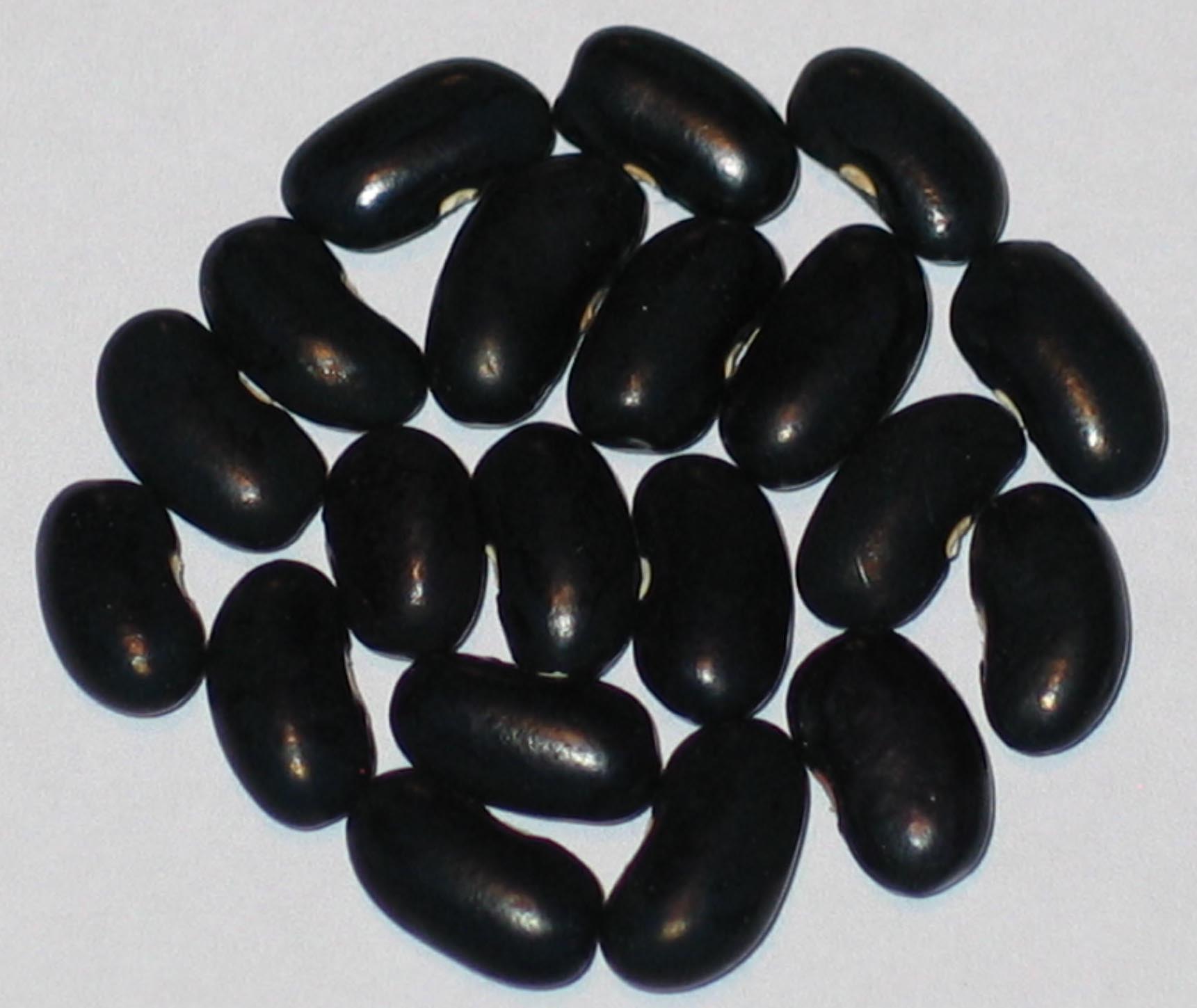 image of Raven beans