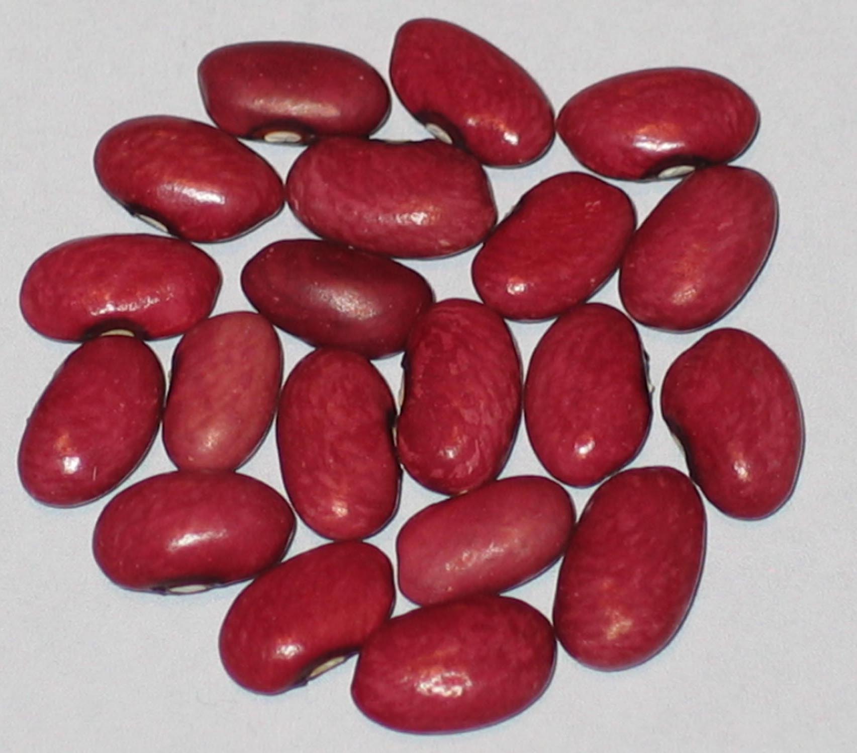 image of Red Richmond beans