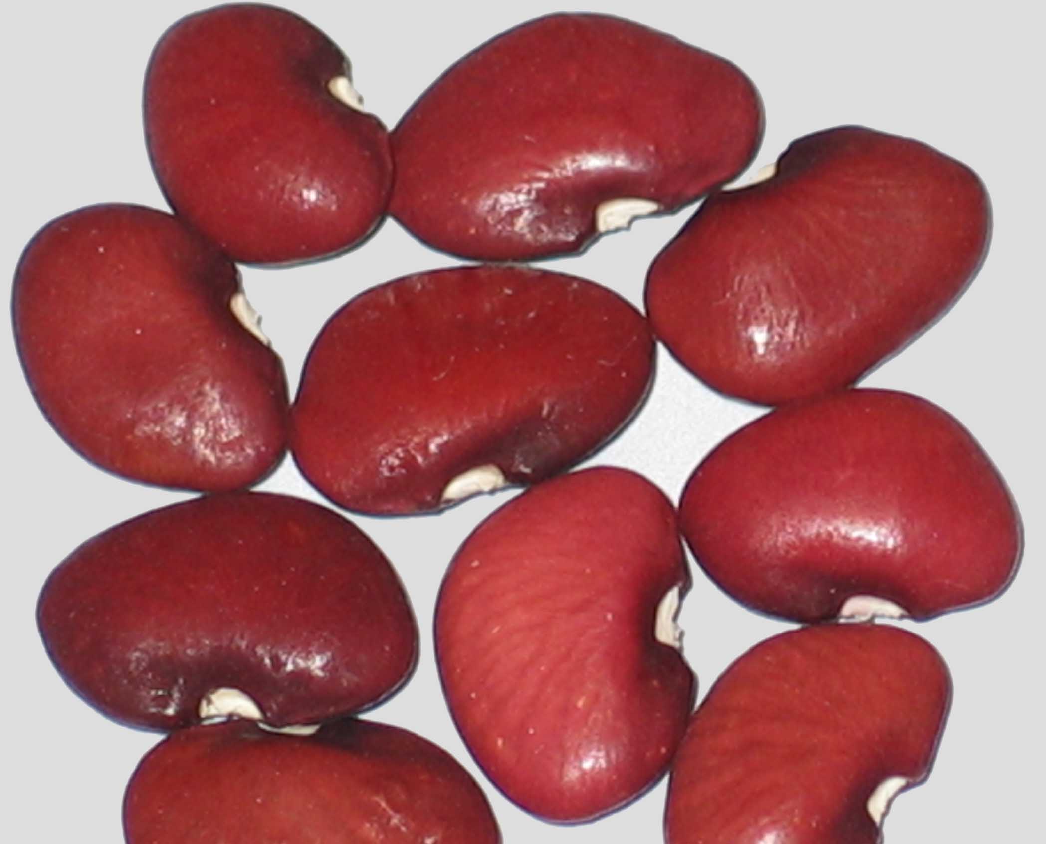 image of Red Lima beans