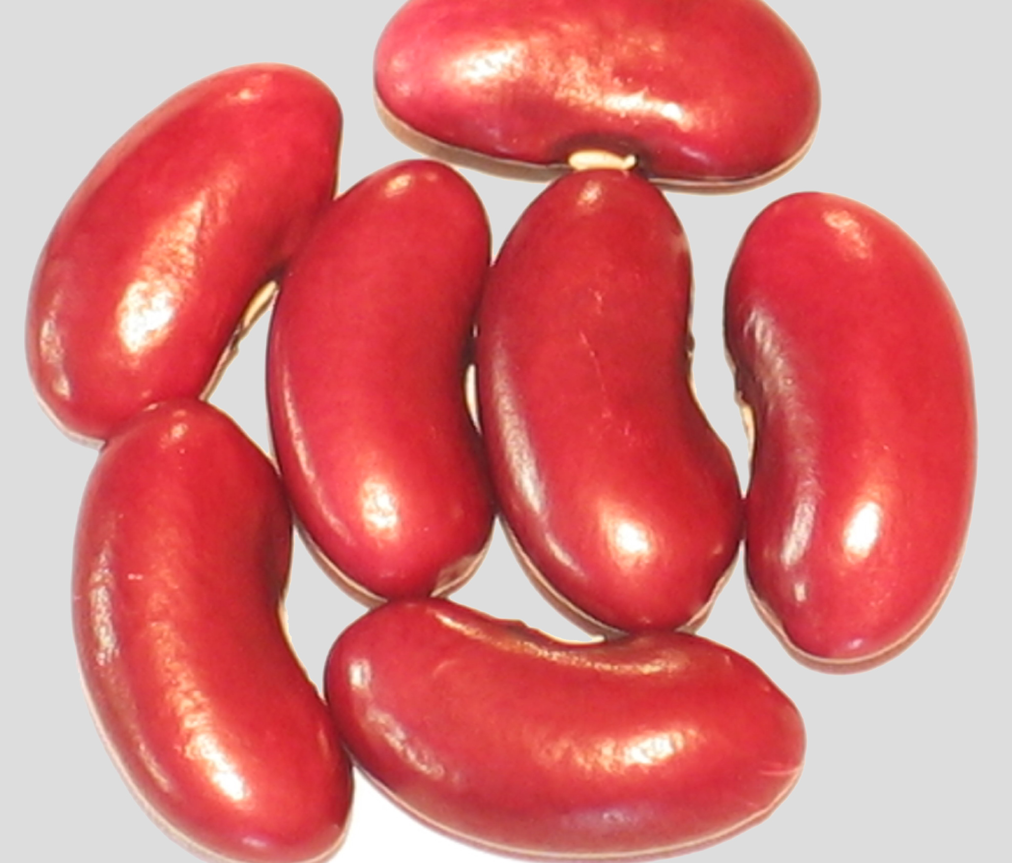 image of Red Rajma beans