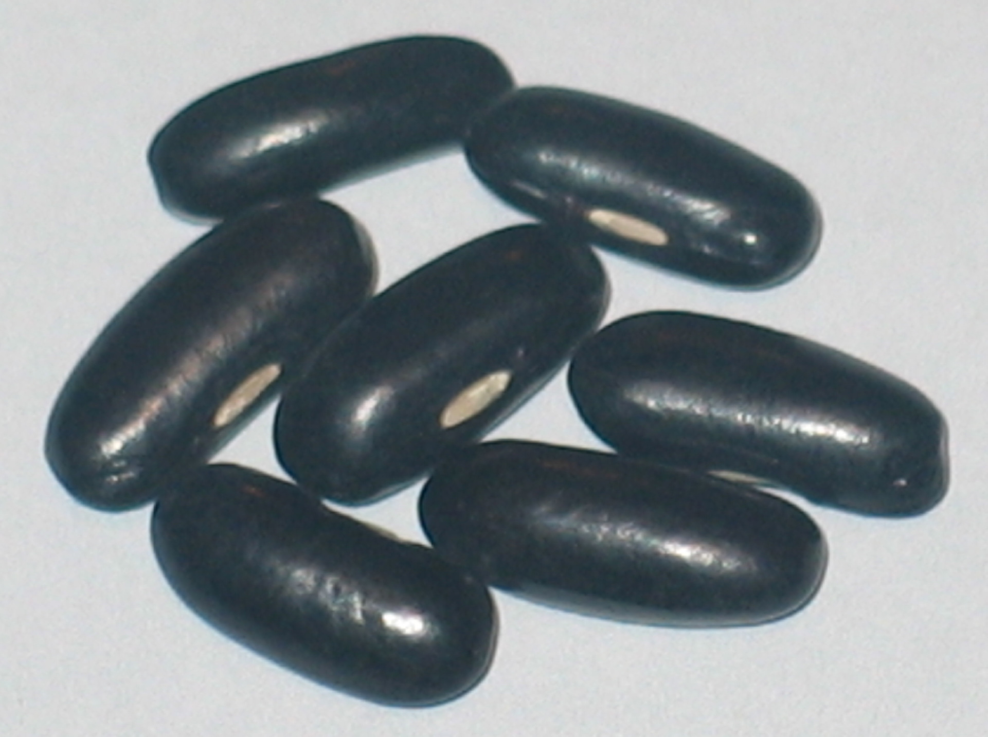 image of Roc D' Or beans