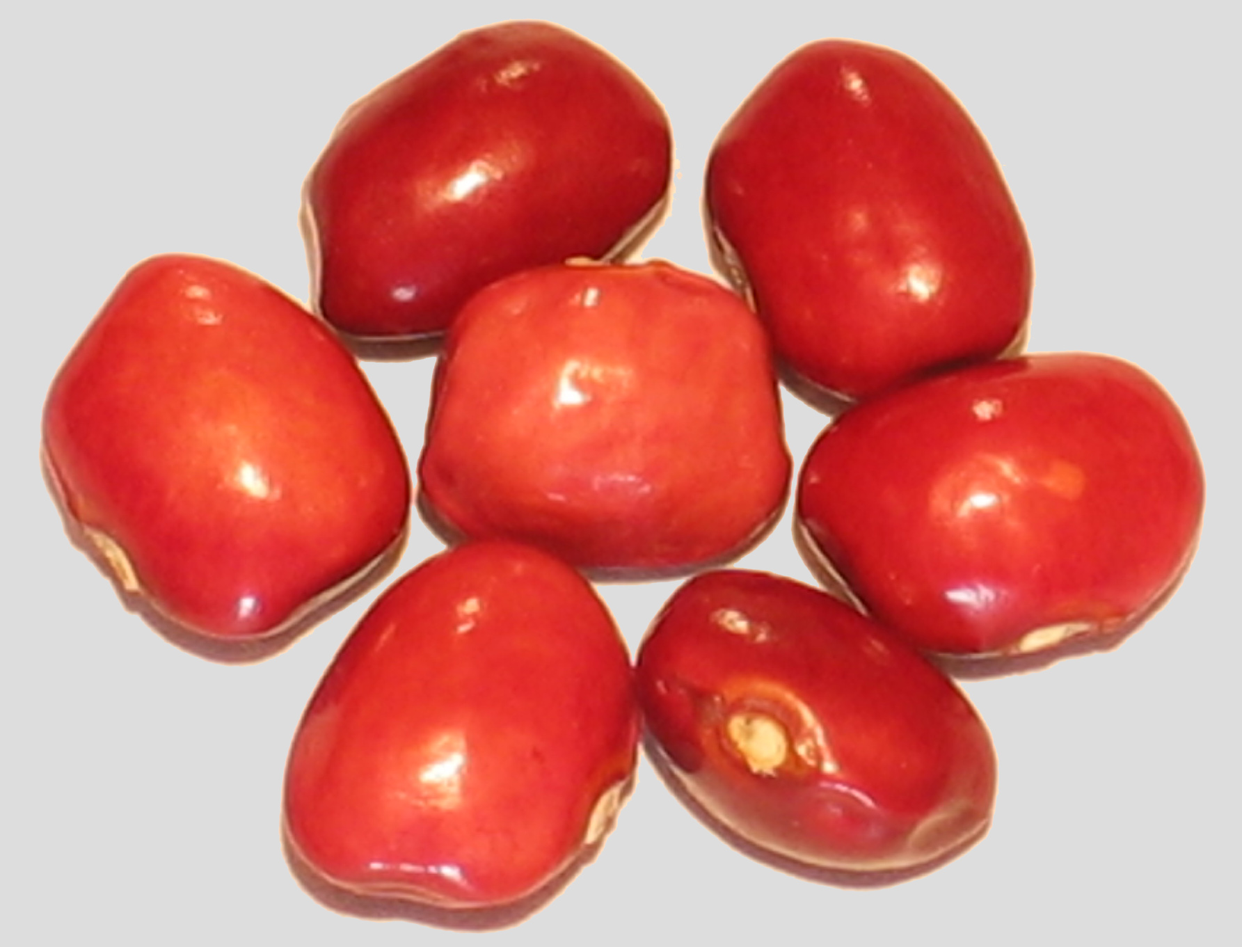 image of Rote Kipflerbohne beans