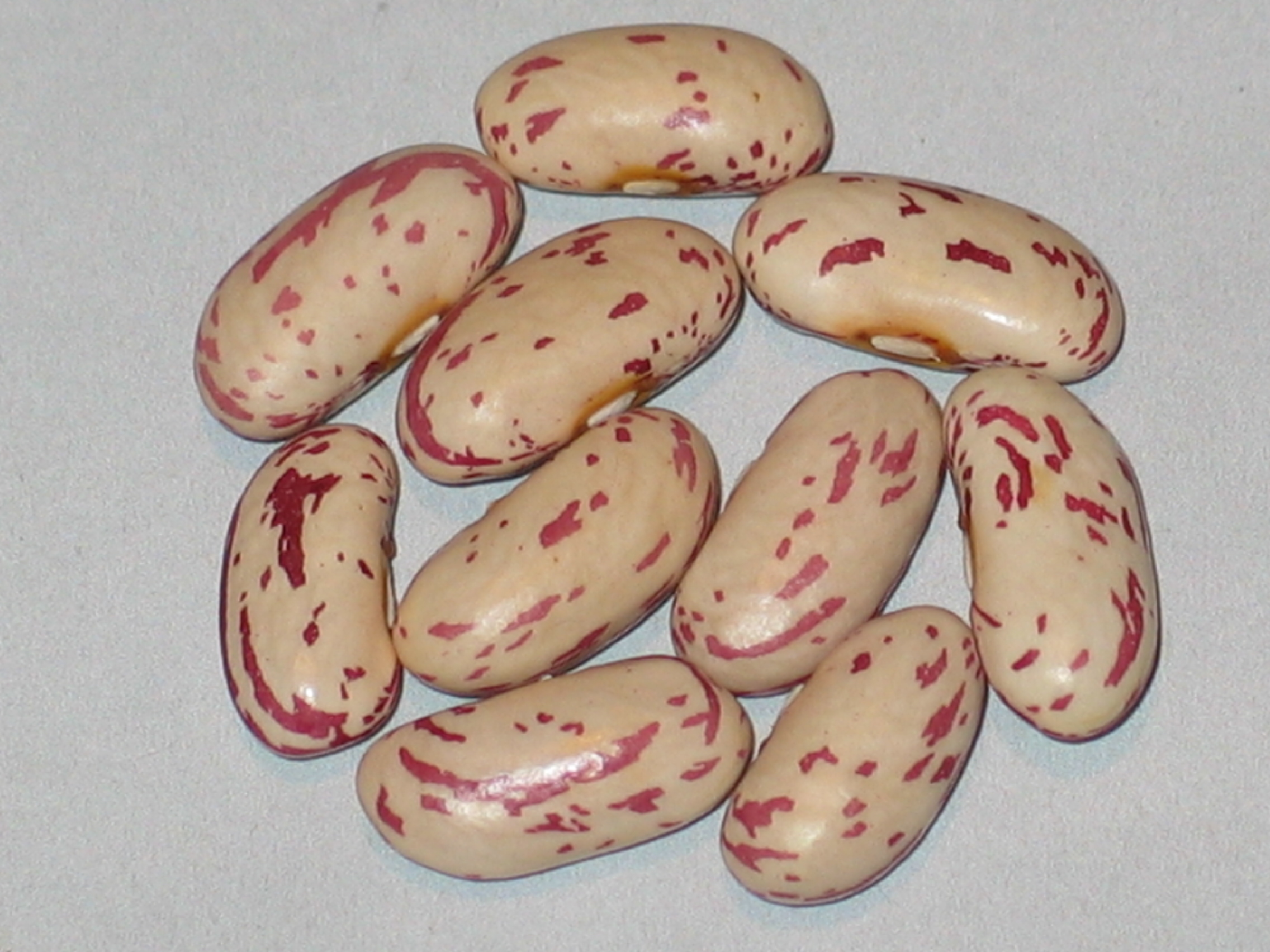 image of Sareni beans