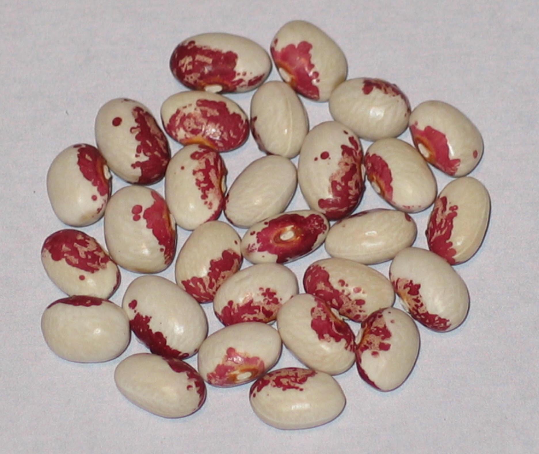 image of Schoko flecken beans