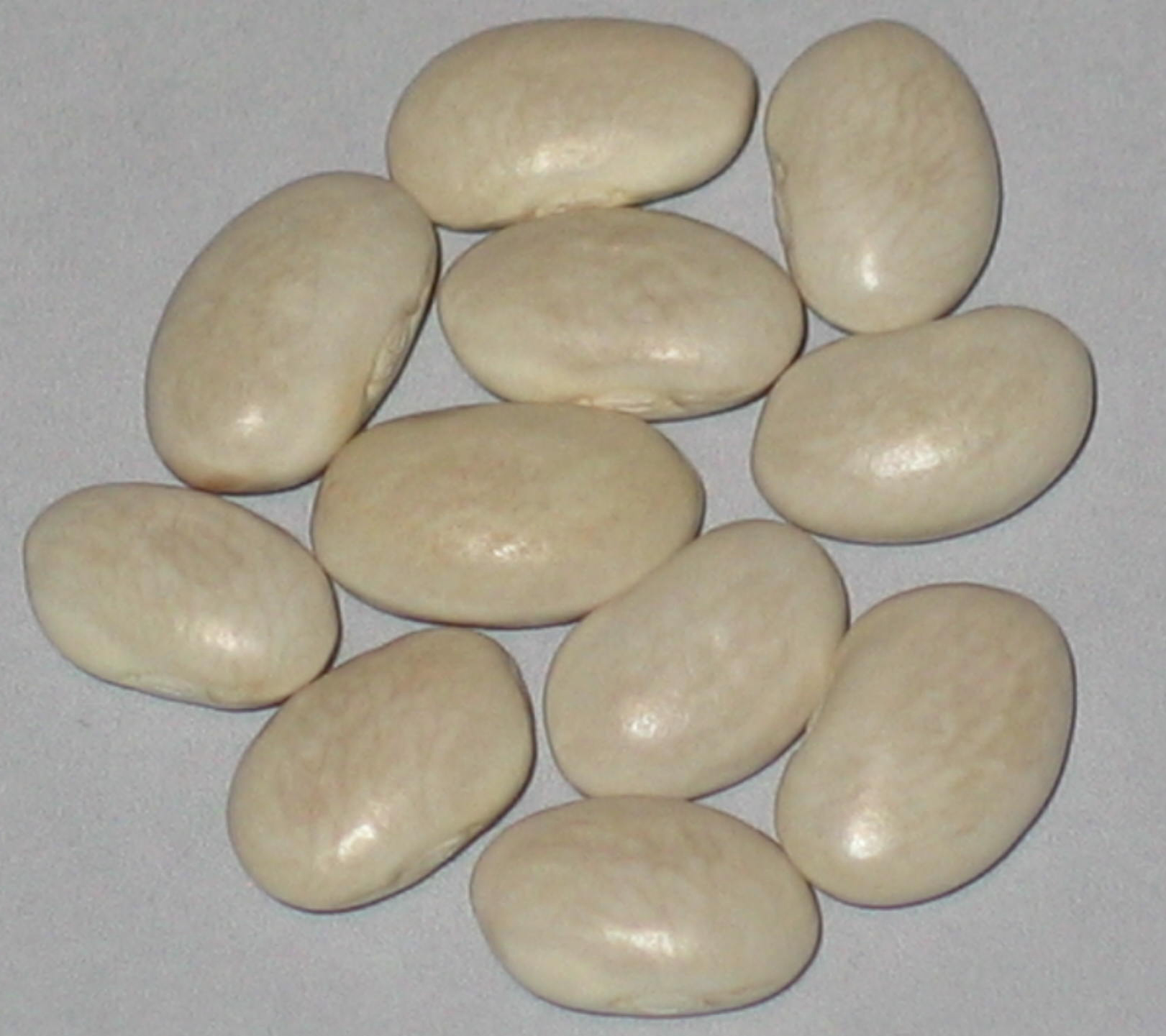 image of Senate Soup Navy beans