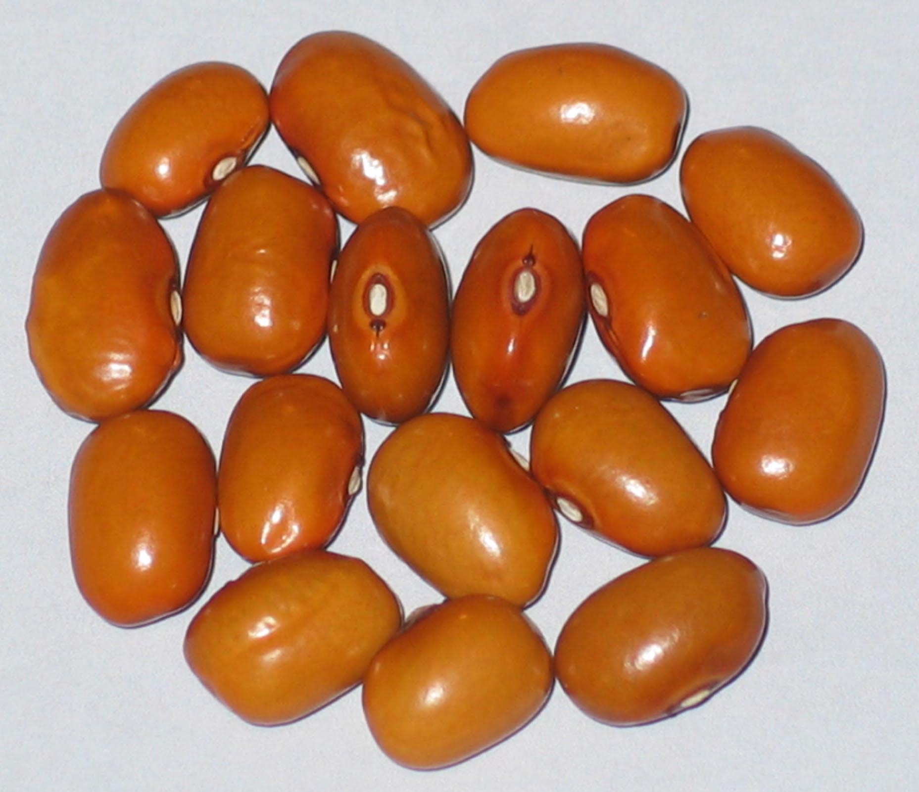 image of Soli Svaneti beans