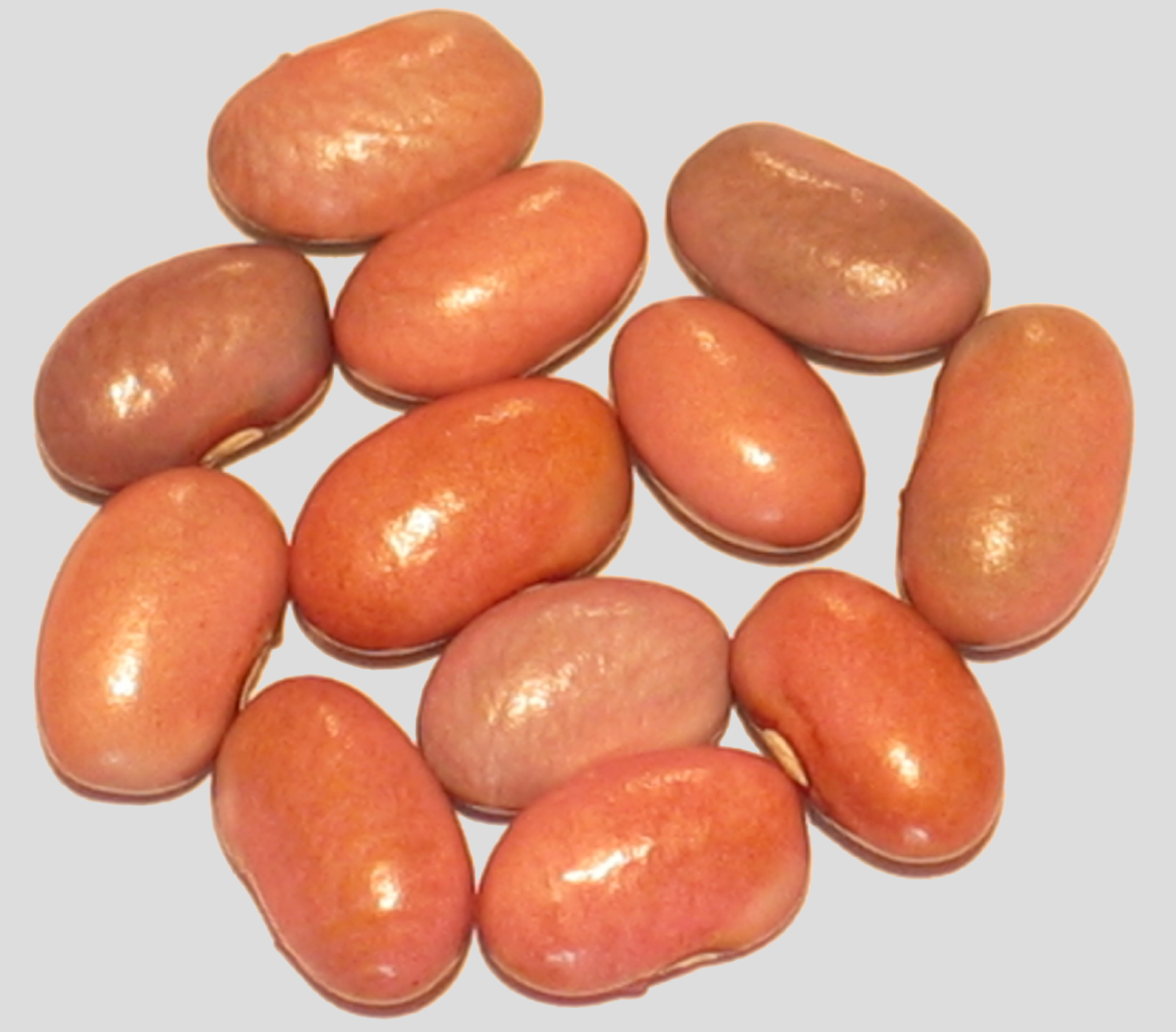 image of Solwezi Variant beans