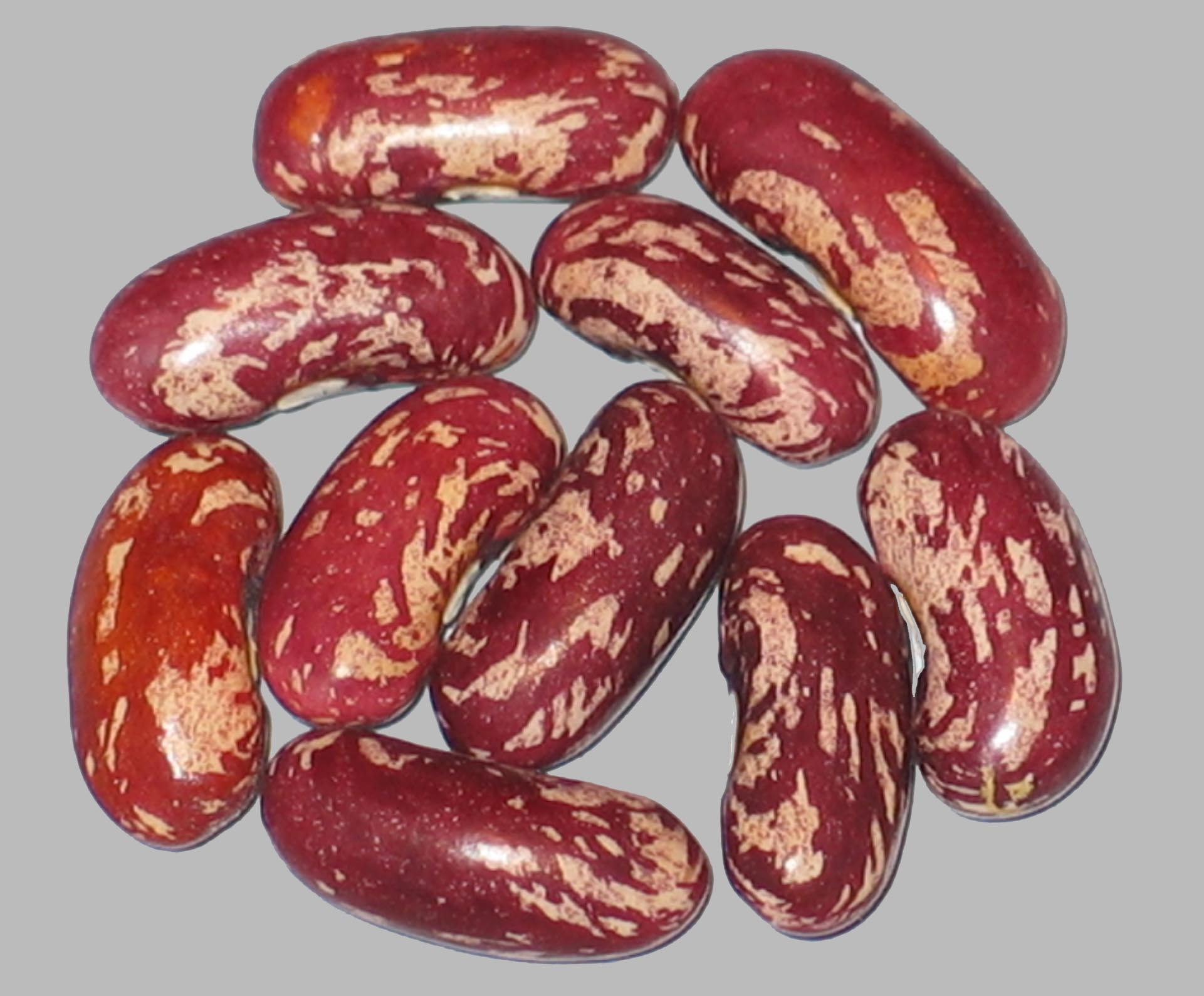 image of Staleys Surprise beans