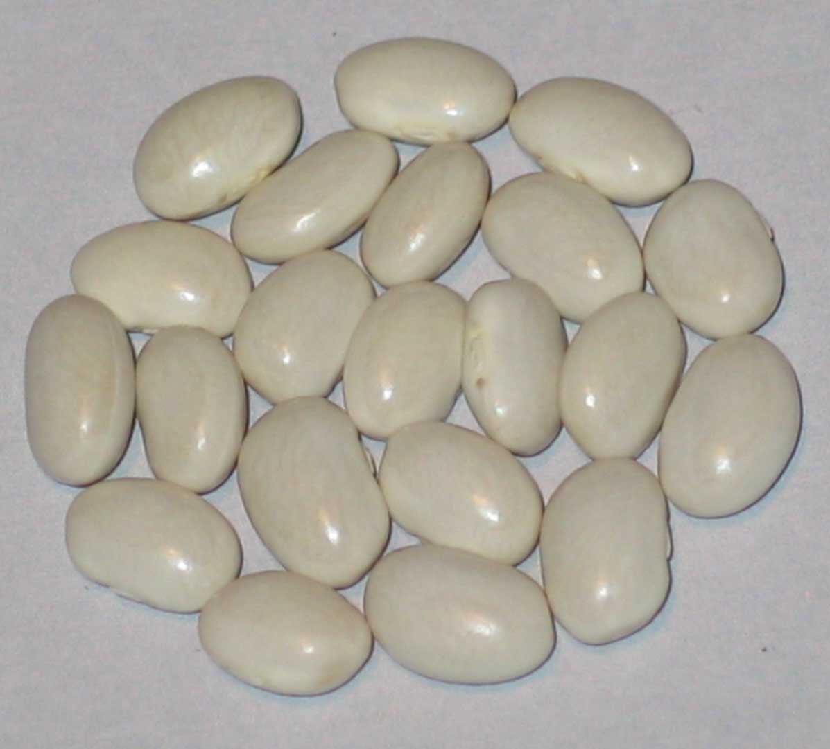 image of Starlite beans