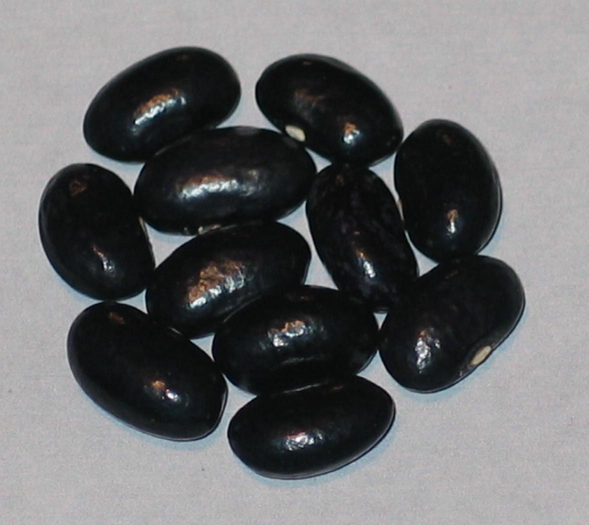 image of Super Marconi beans