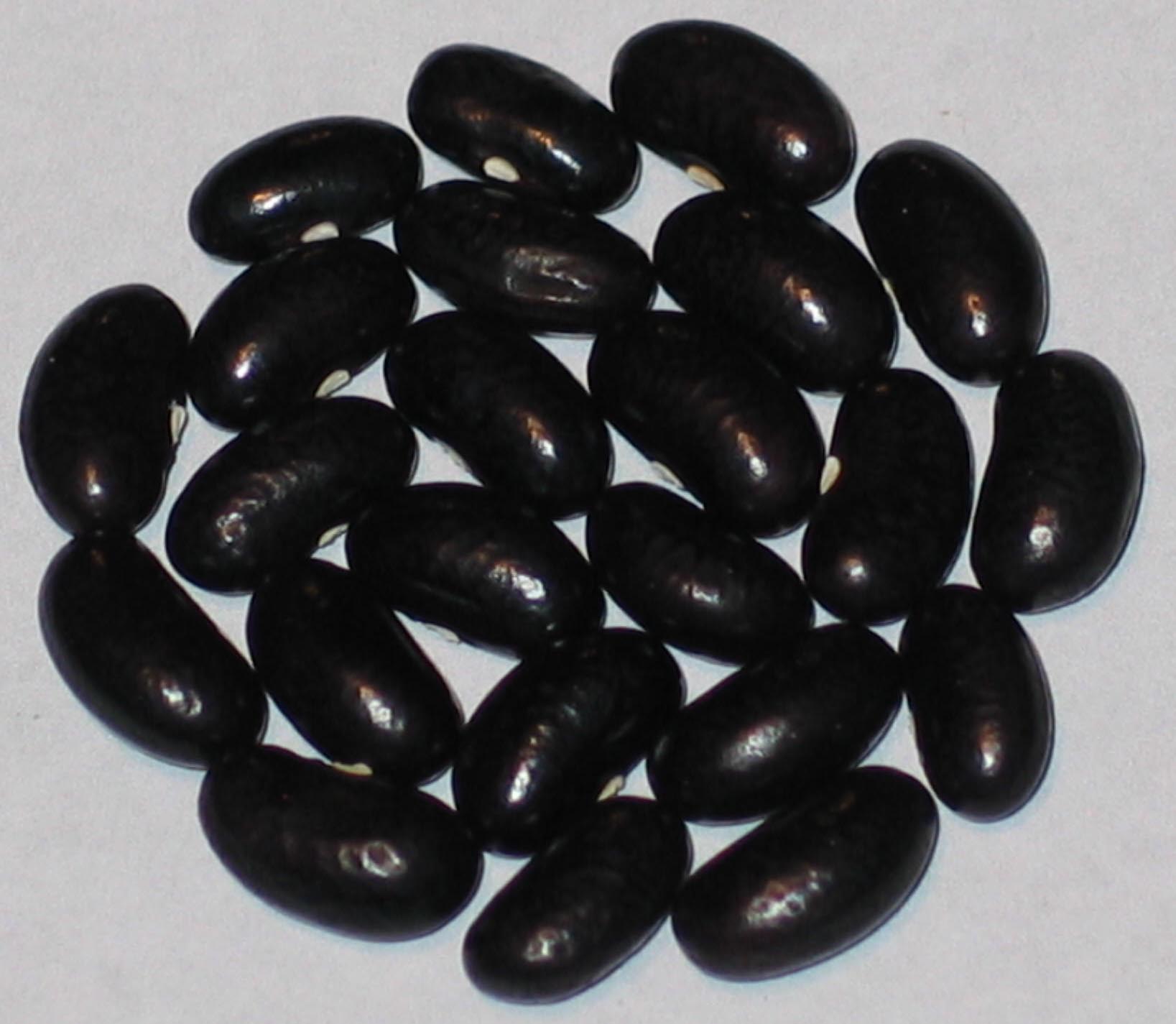 image of Syvano's beans