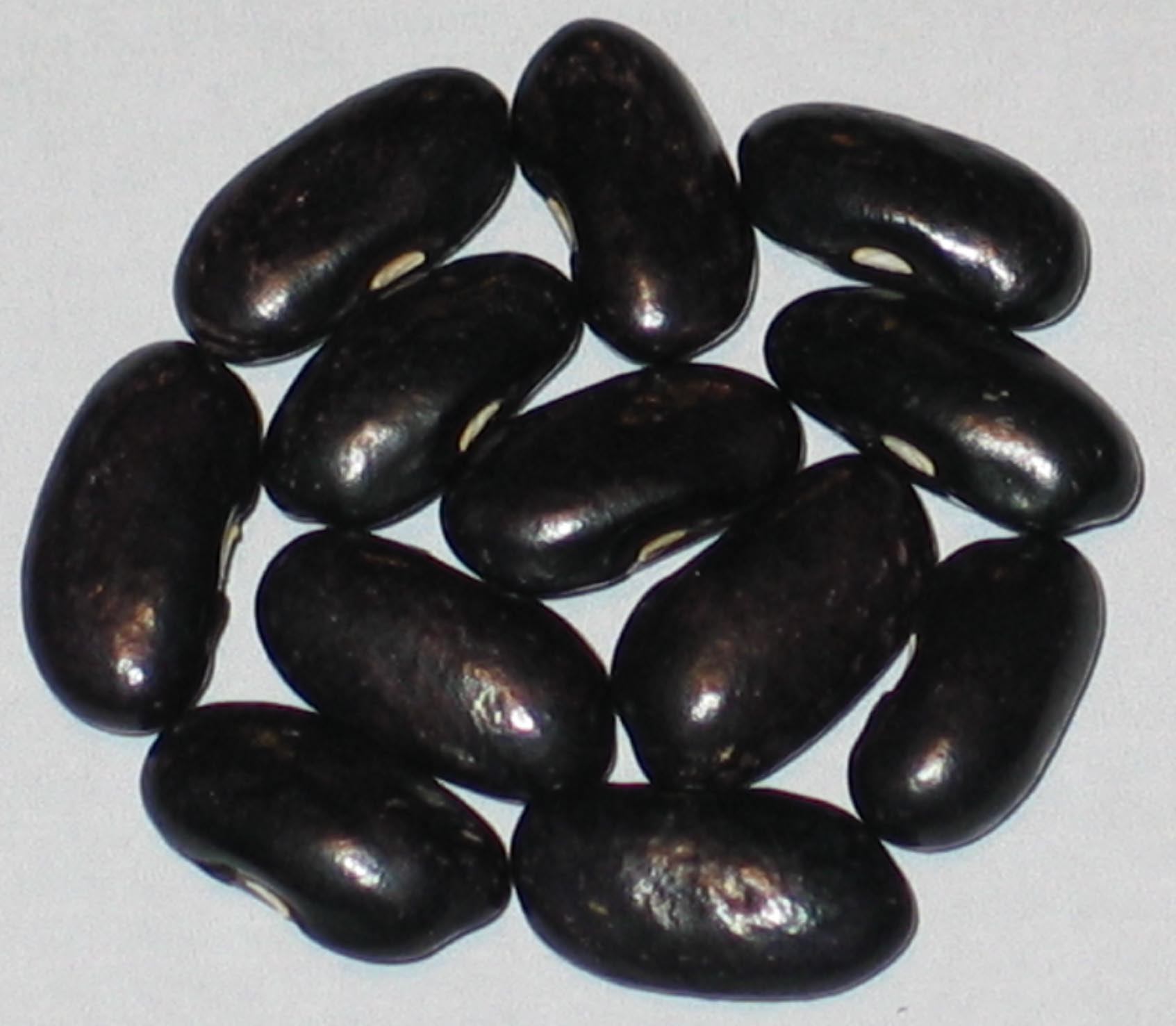 image of Tallulah's Treasure beans