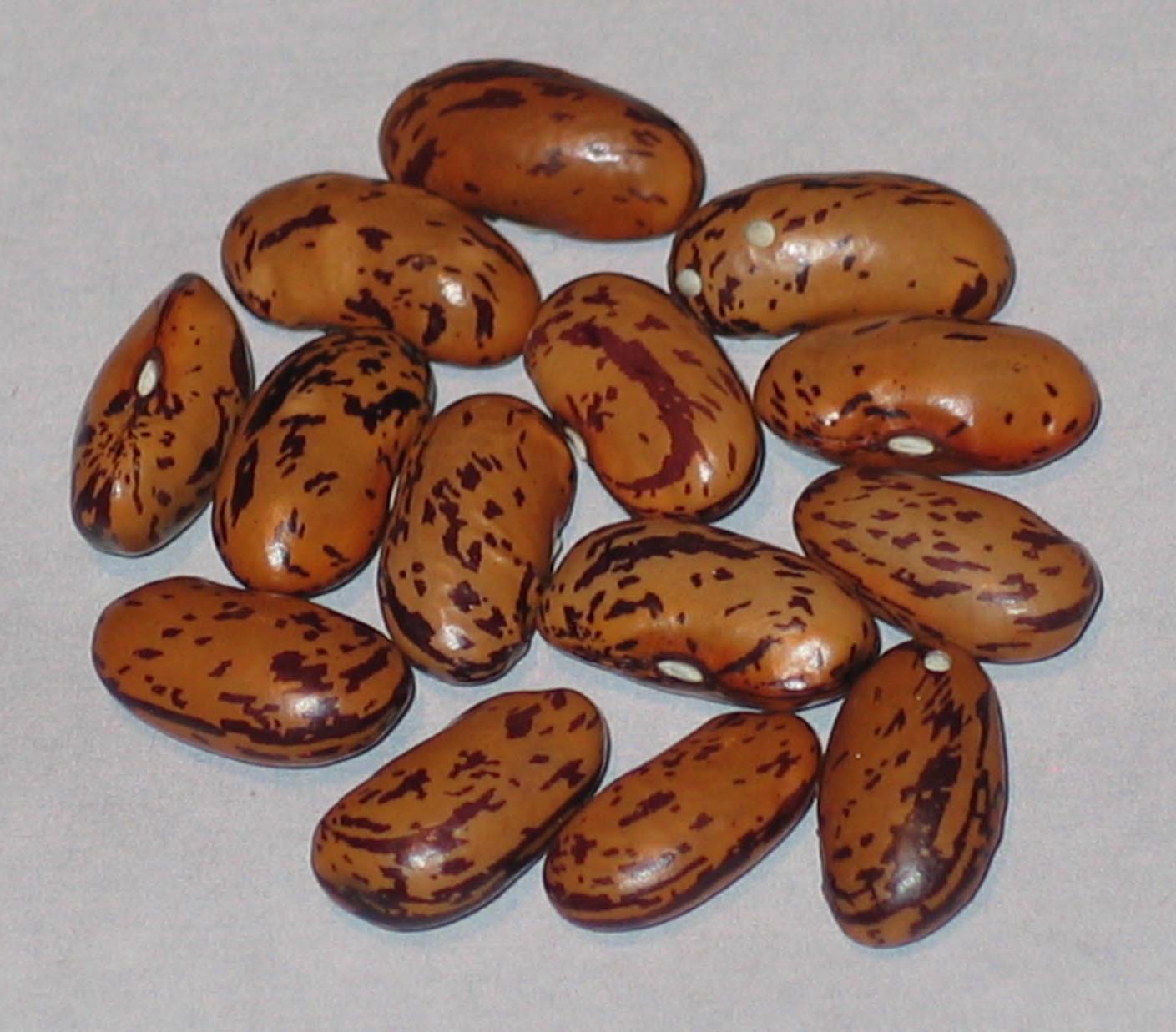 image of Tarpieta beans