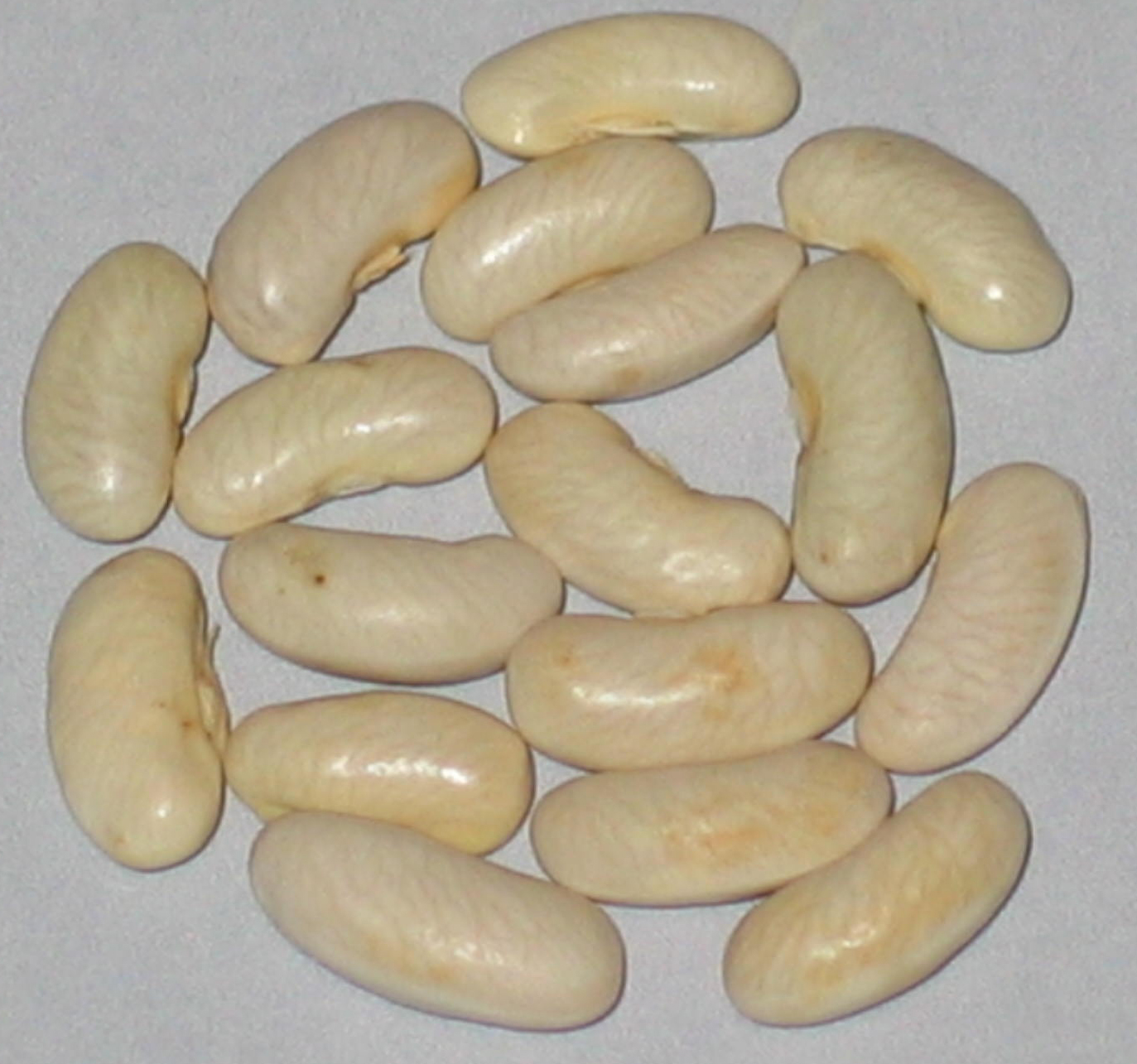image of Timbavati beans