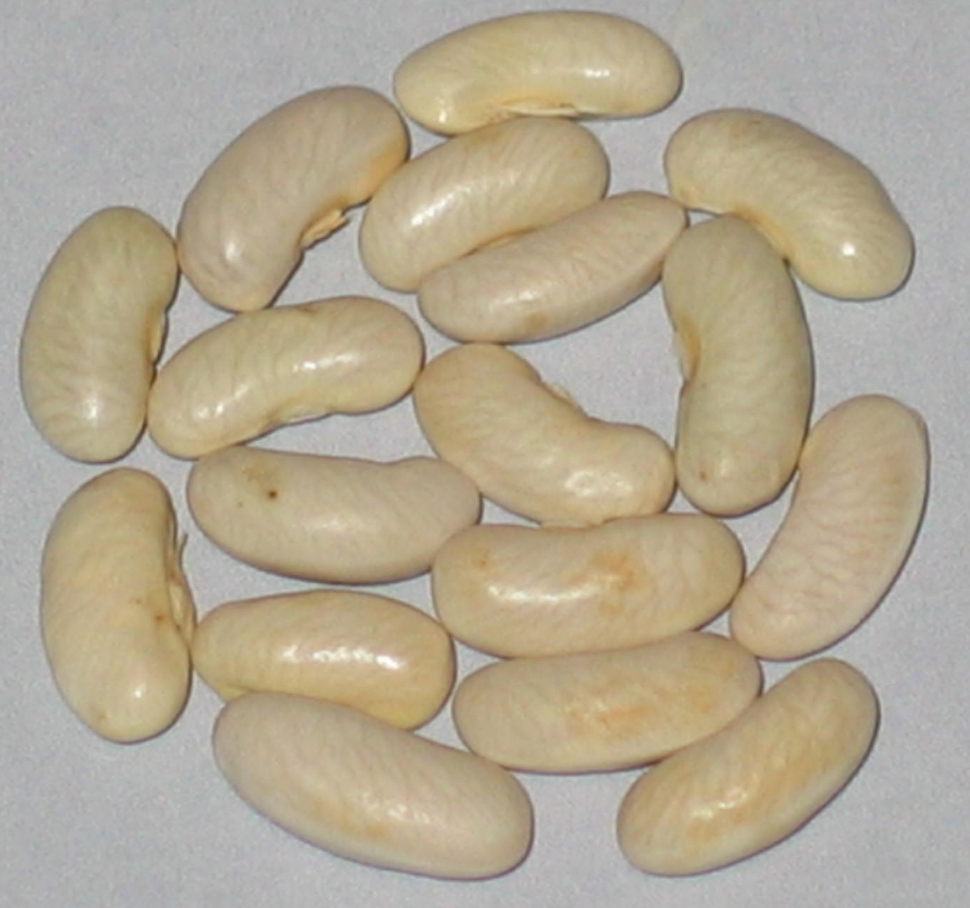 image of Timbavati beans