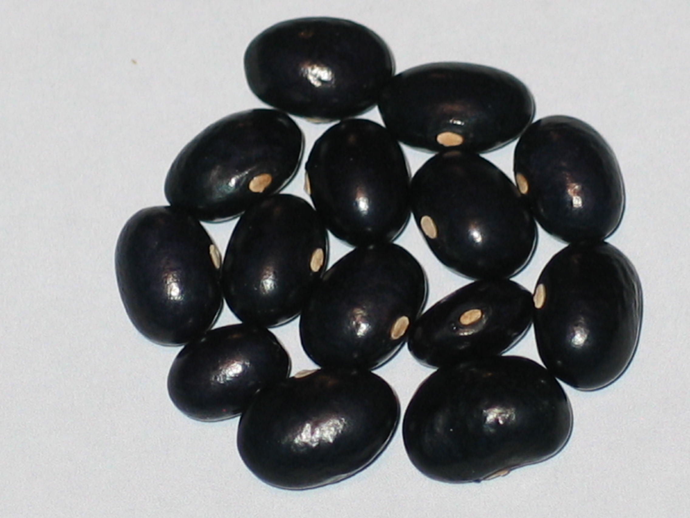 image of Tonello beans