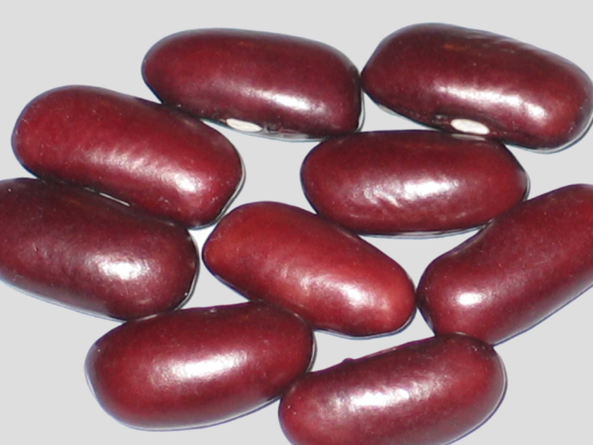 image of Tweed Wonder beans