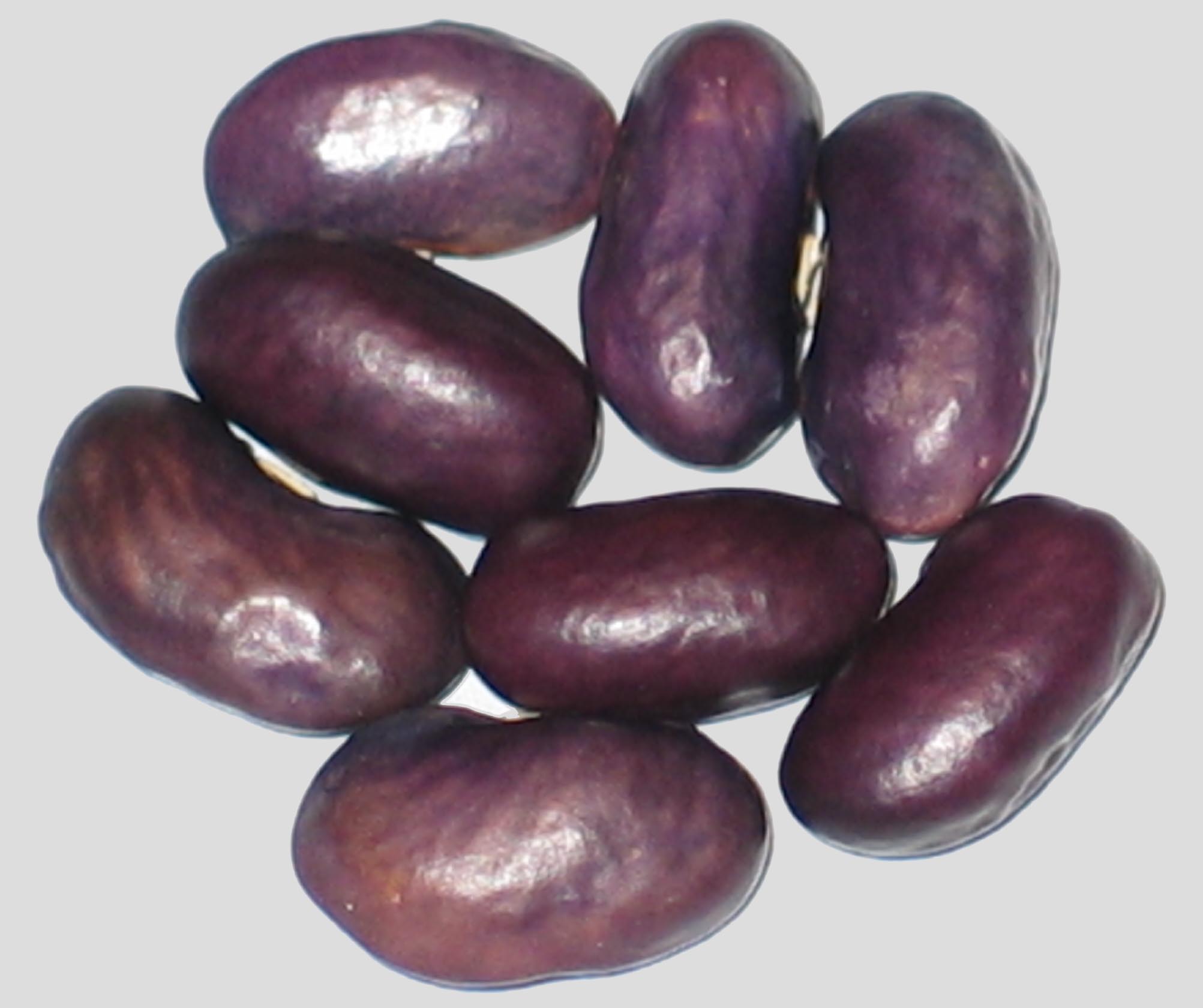 image of Tyra beans