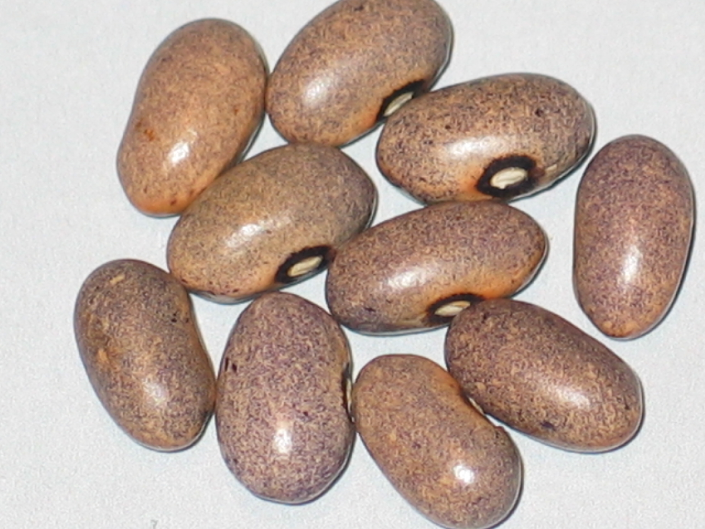 image of Ugandan Bihimba beans
