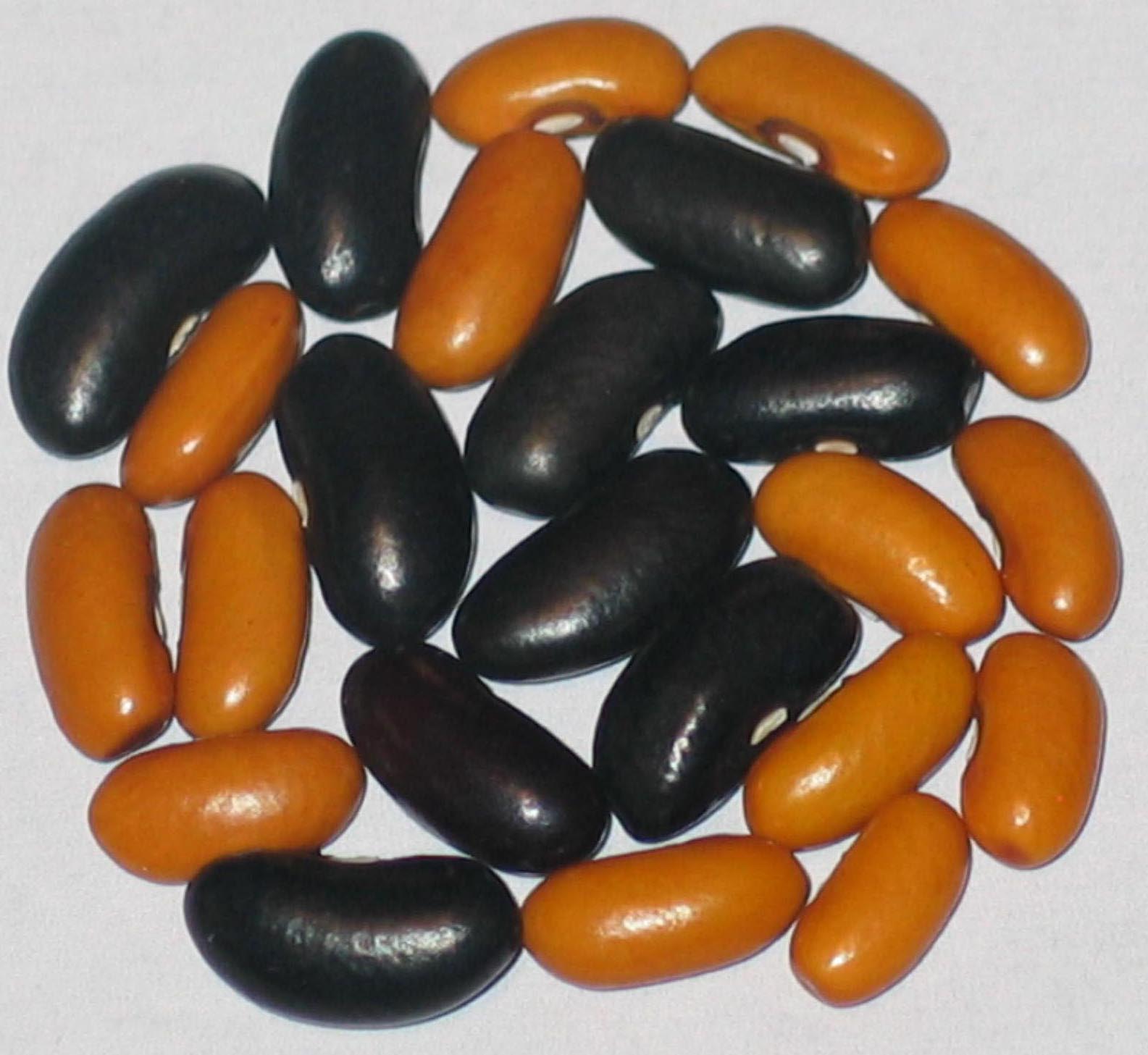 image of ukrainian-comrades beans