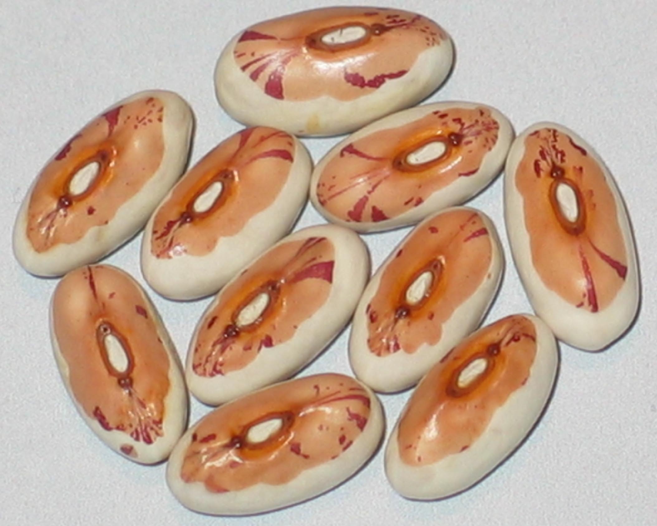 image of Up The Valley beans