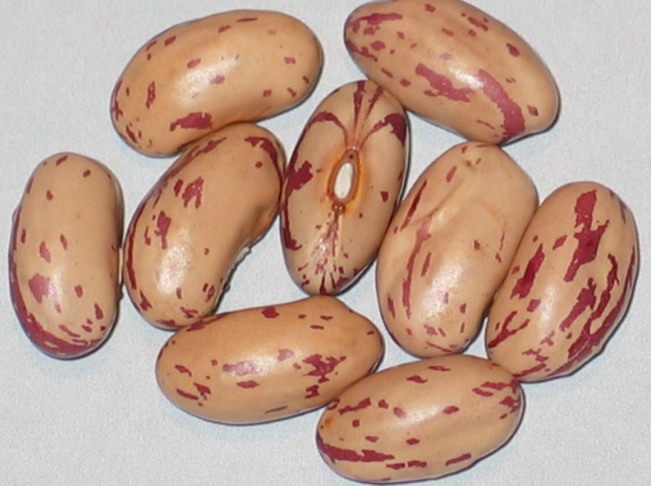 image of Valley View beans