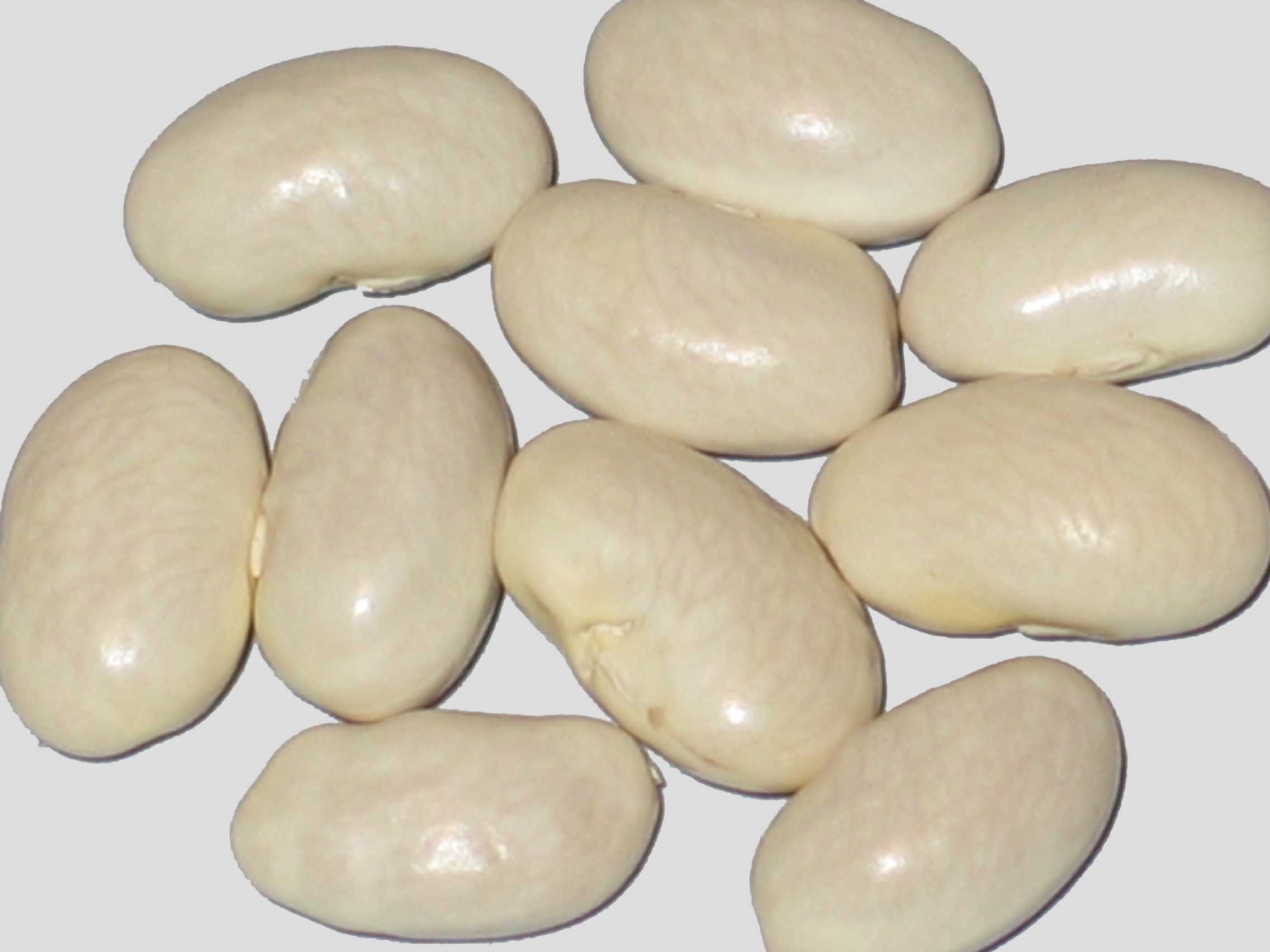 image of Veense beans