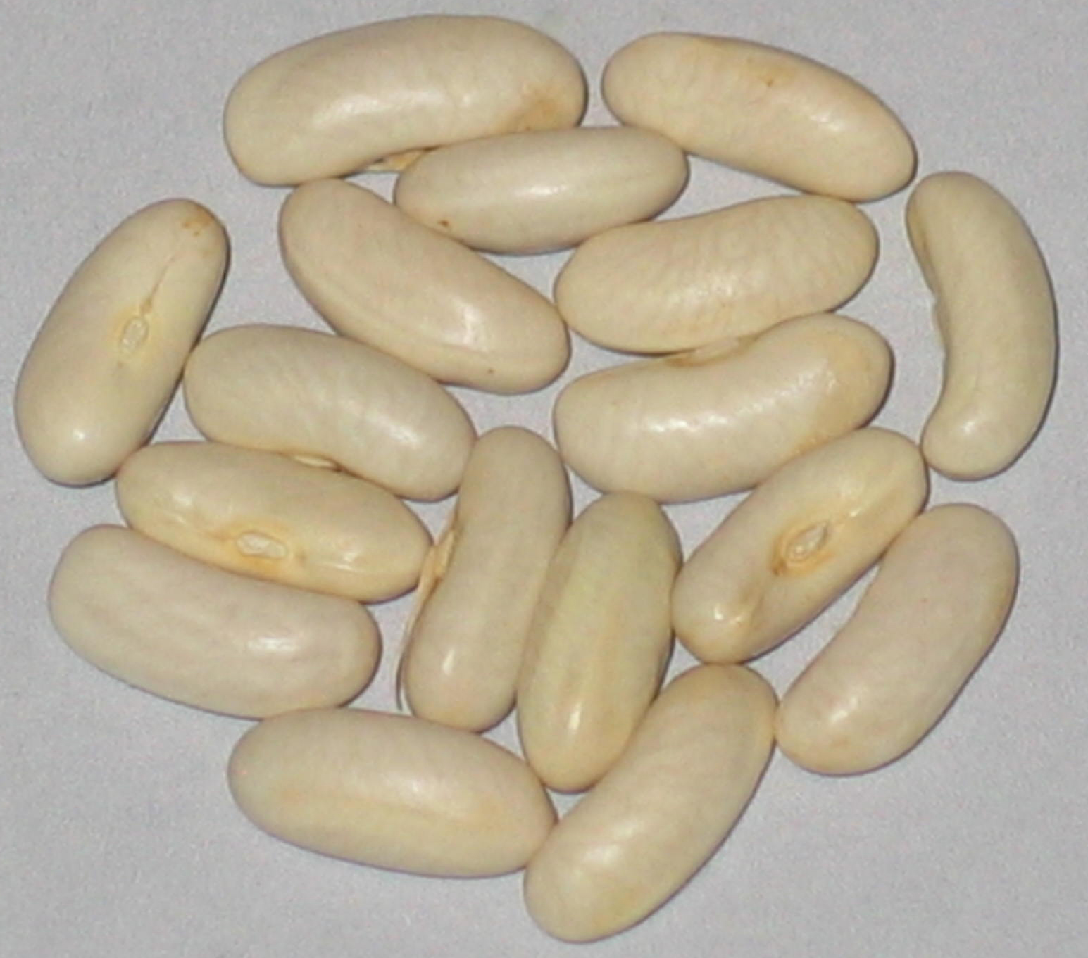 image of Volta beans
