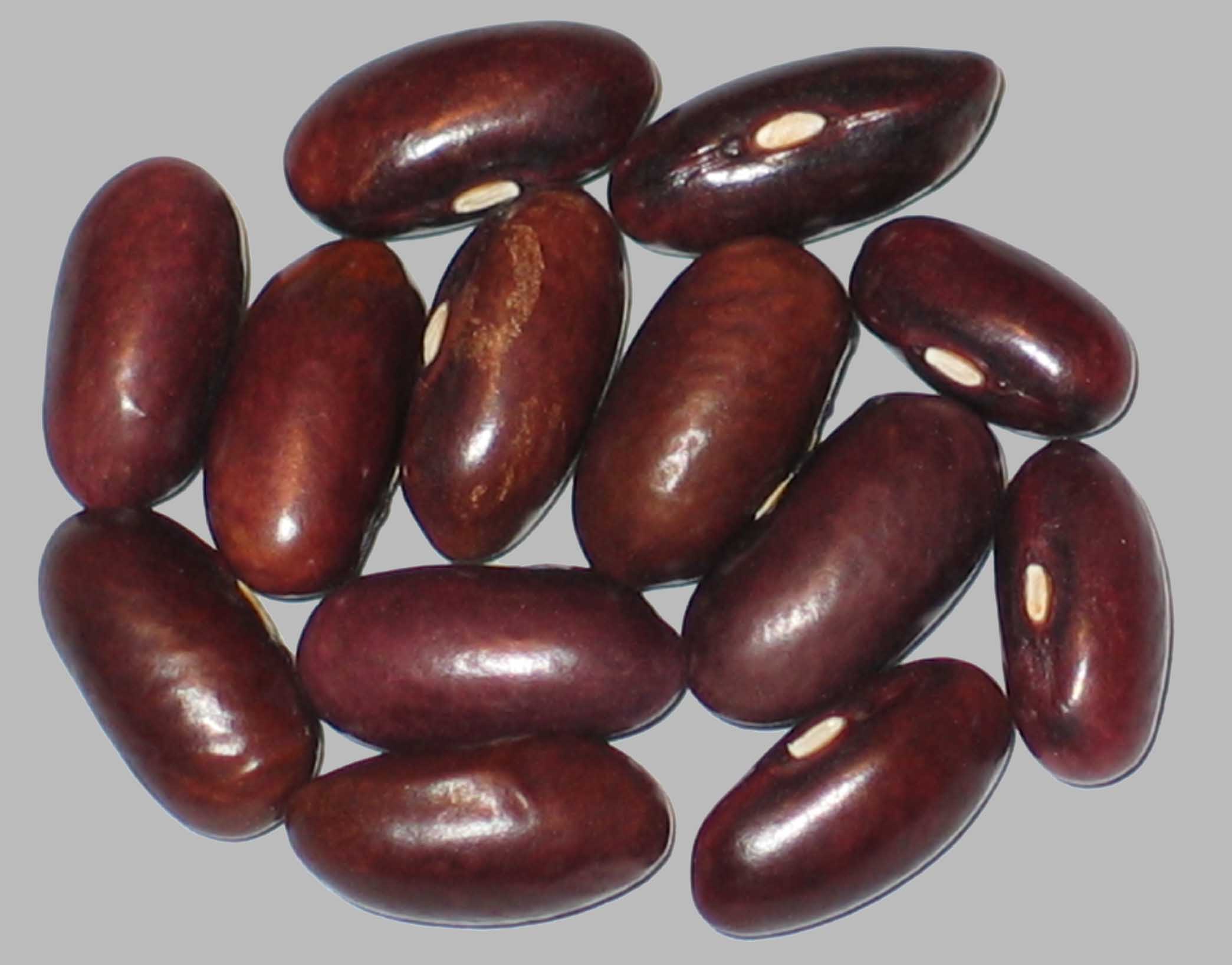 image of Wadex beans