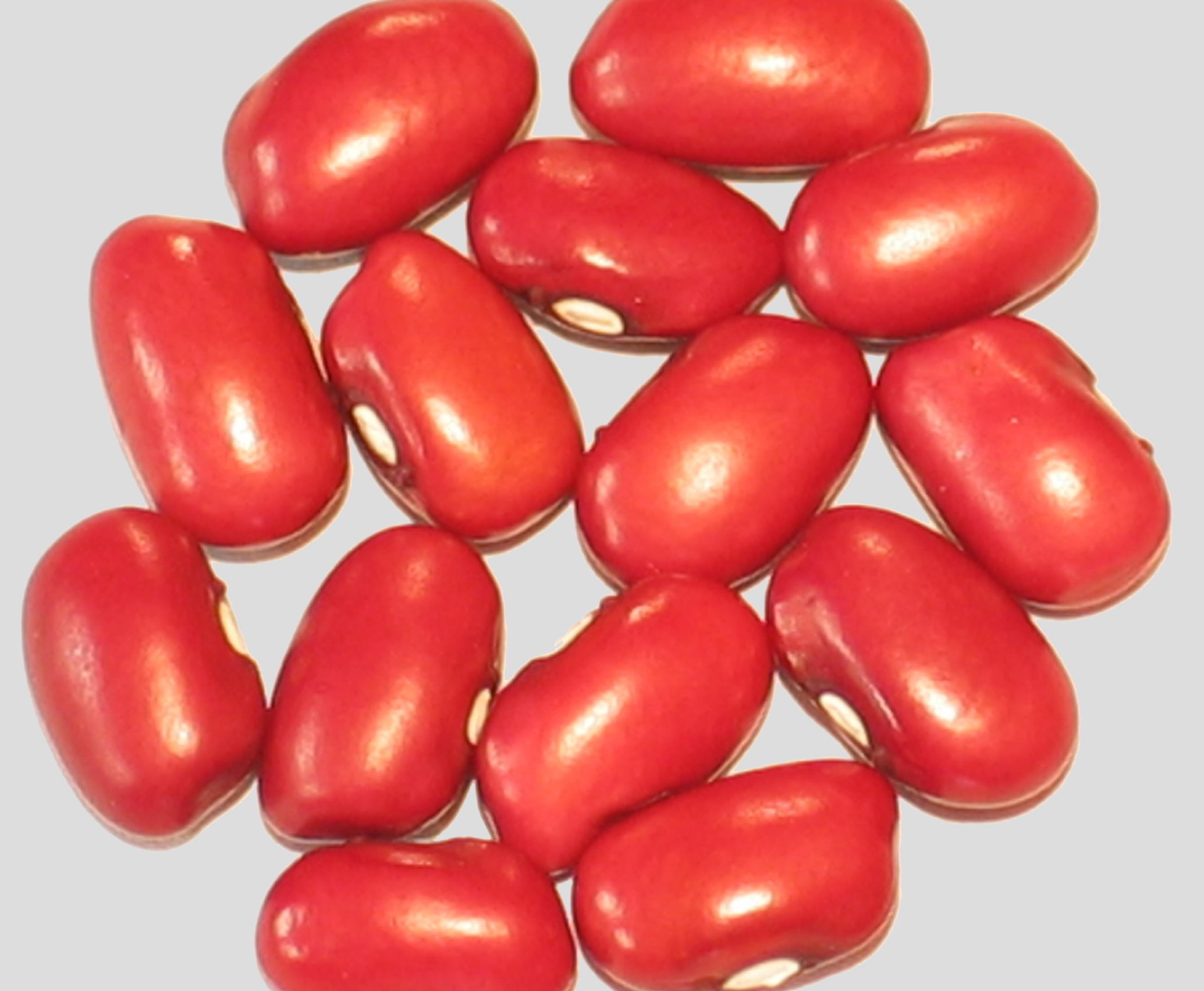 image of Warpath beans