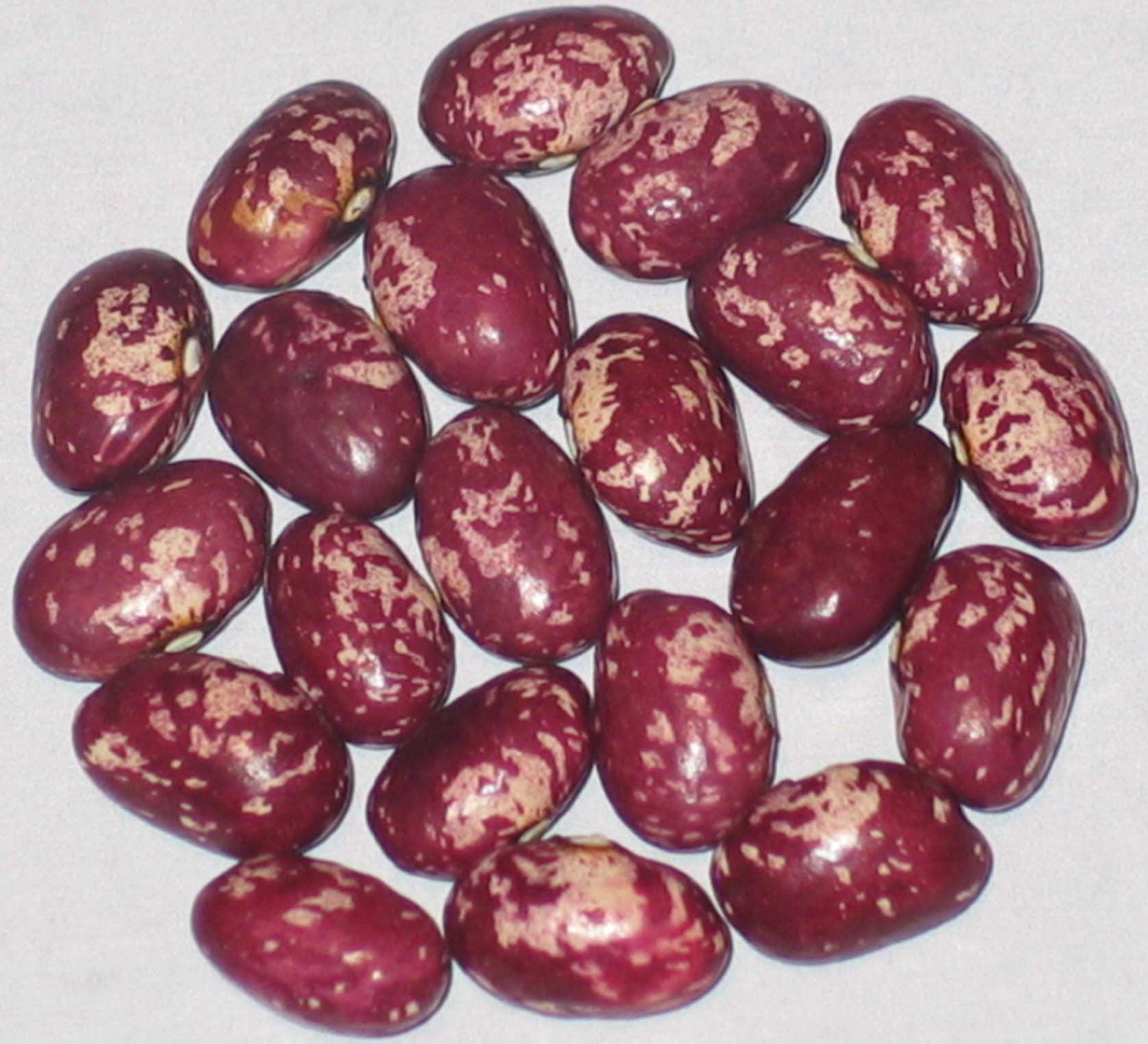 image of Whipple beans