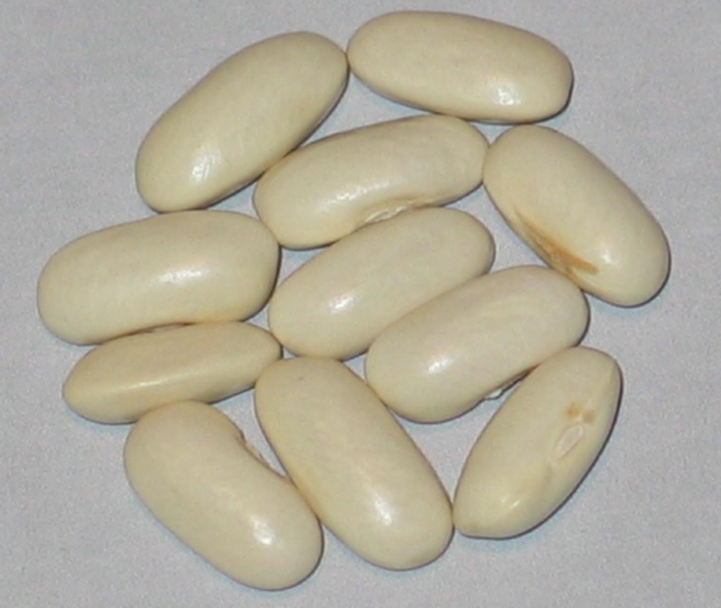 image of White Seeded Pencil Pod beans