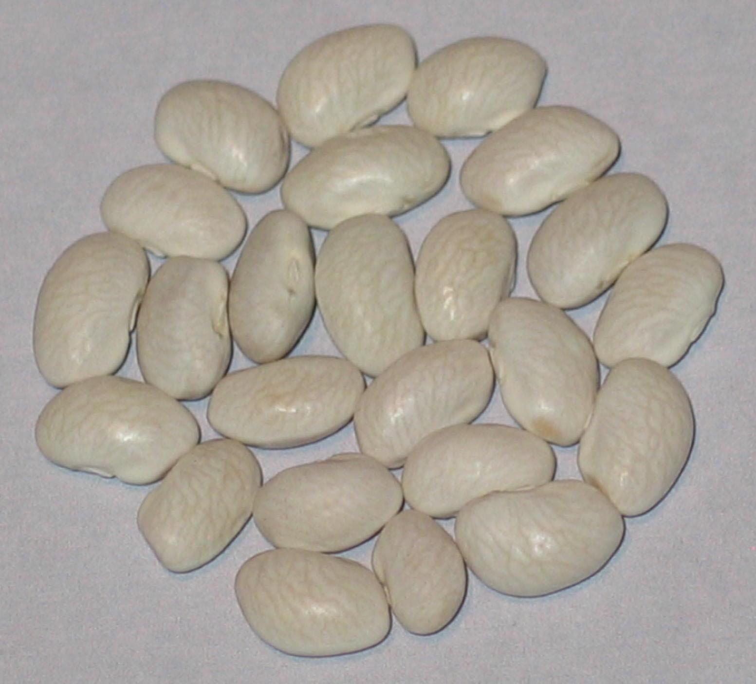 image of White Snowball Greasy beans
