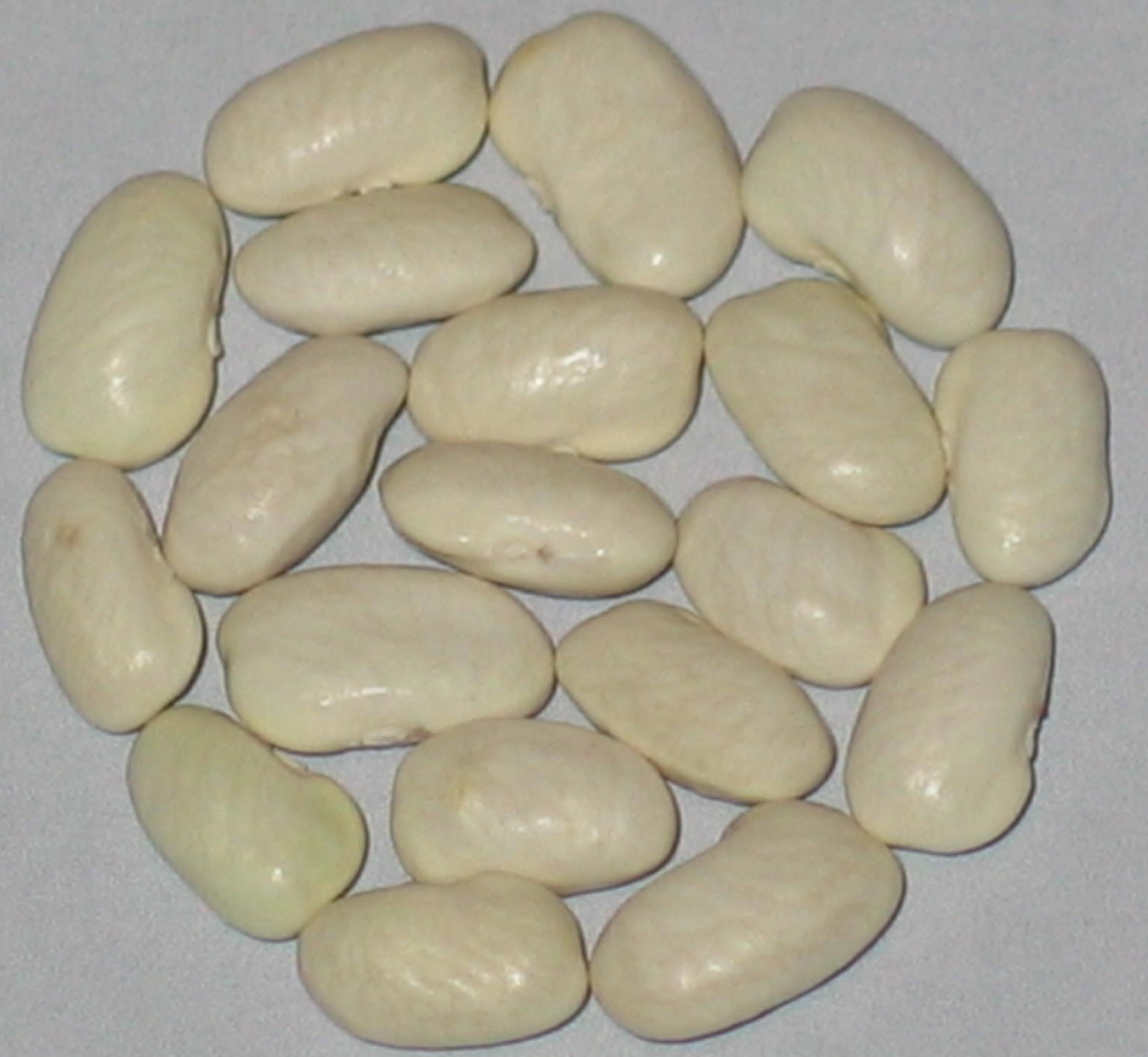 image of Wide Pod White Greasy beans
