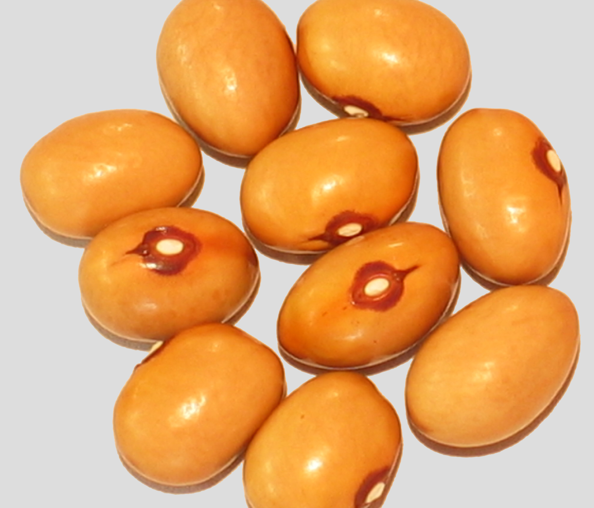 image of Winterfare beans