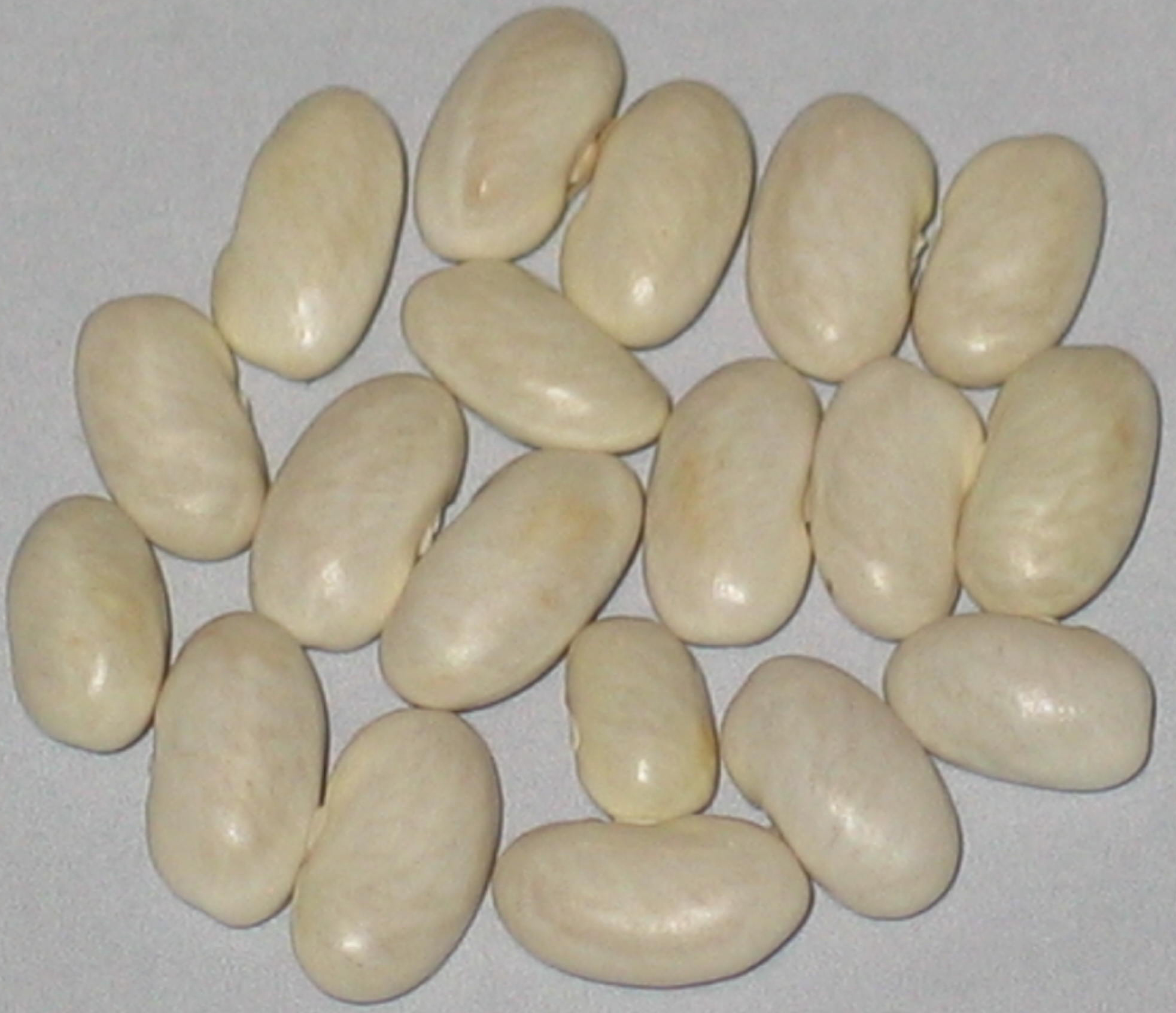 image of Witsa beans